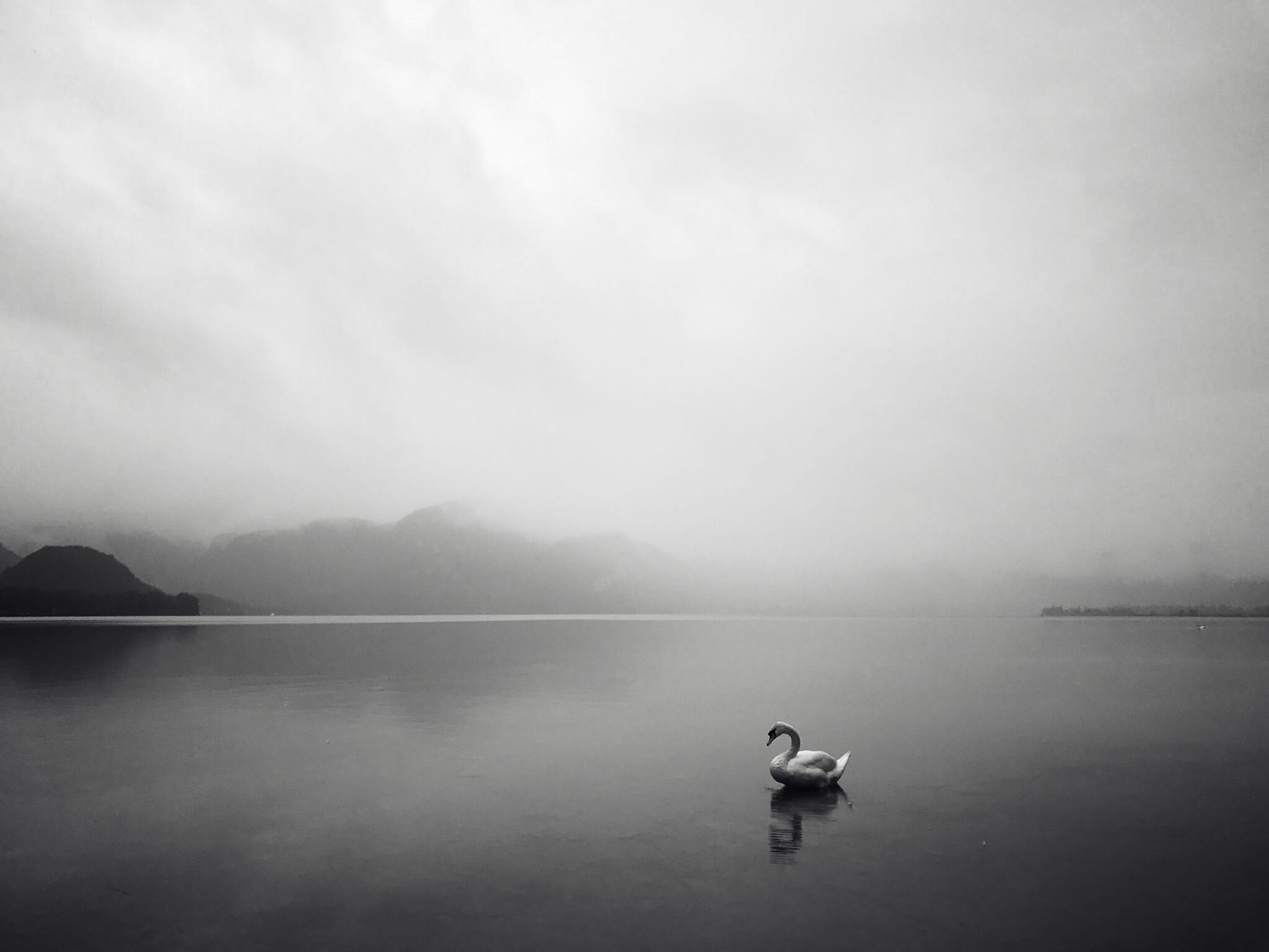 photo, germany, overcast, one person, lake side, tranquility, water, day, lcoudy, stillness, tranquil scene, 1080P, overcast day, relaxation, full length, HD Wallpaper