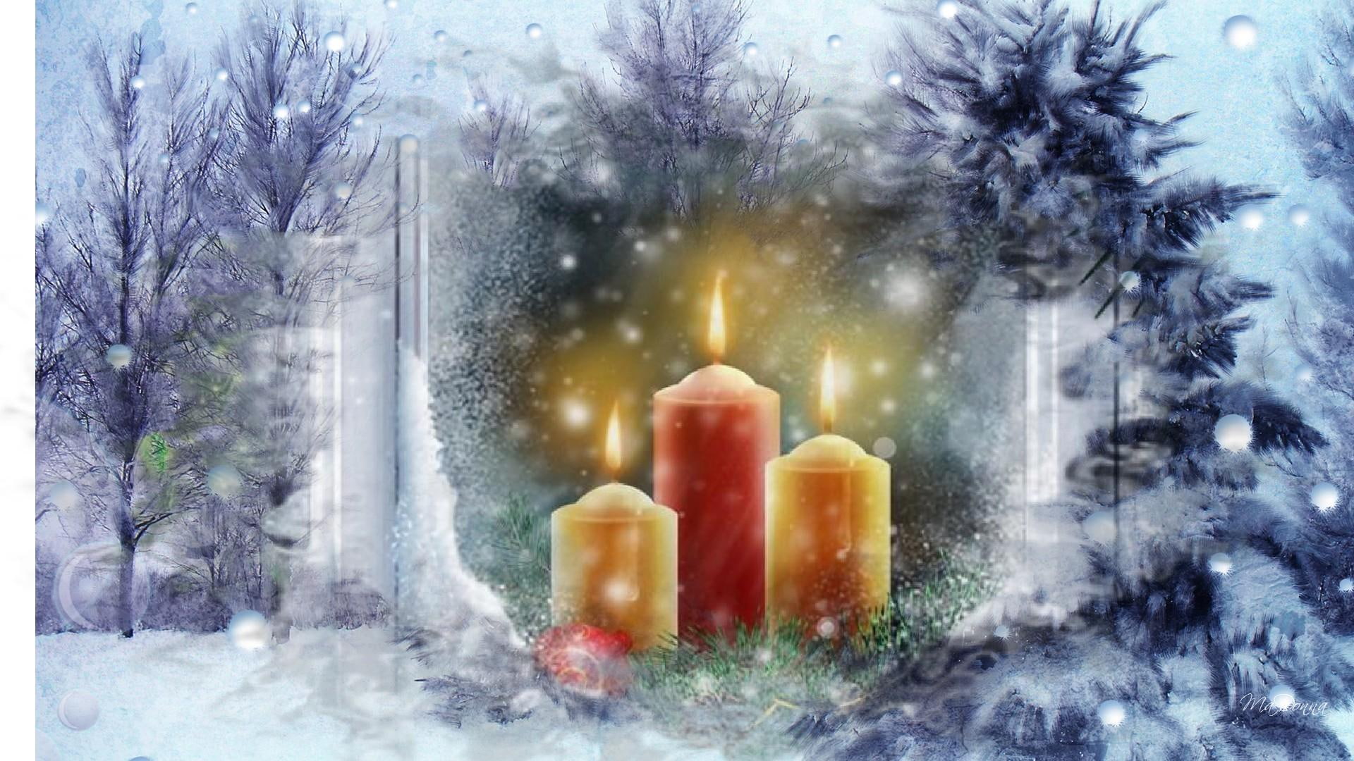 cold, nature and landscapes, snow, frost, snowing, 1080P, lights, glow, light, ze, winter, trees, christmas, HD Wallpaper