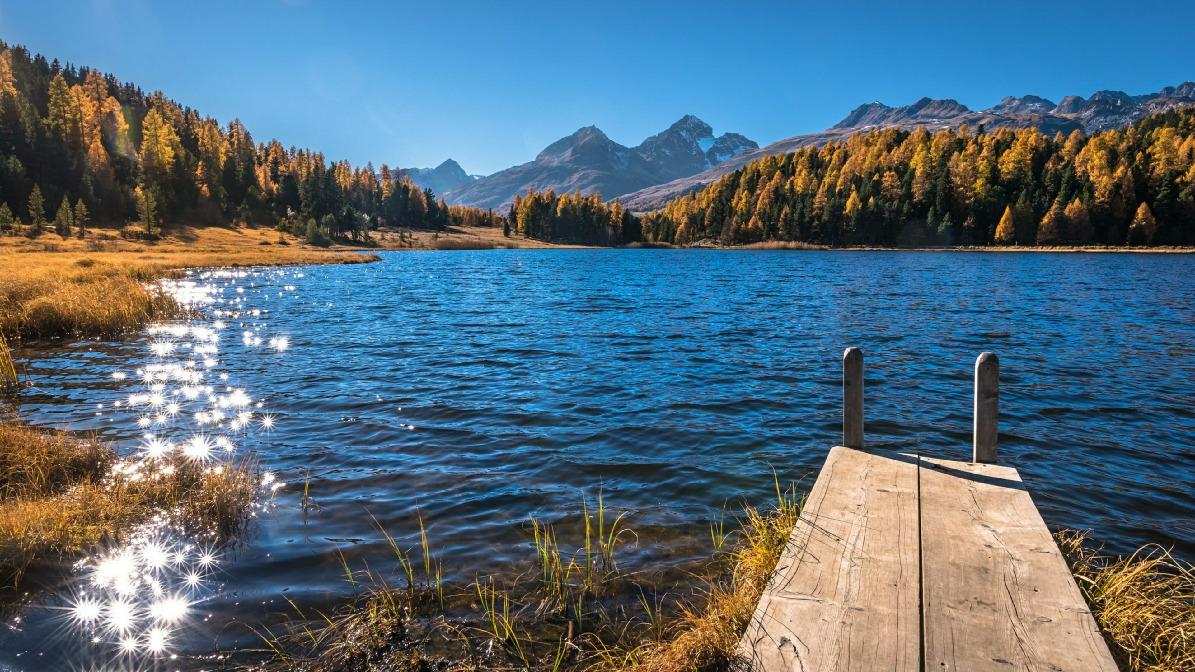 idyllic, landscape, switzerland, bank, lake of staz, day, non-urban scene, sky, no people, st. moritz, loch, plant, blue sky, beauty in nature, mountain lake, HD Wallpaper