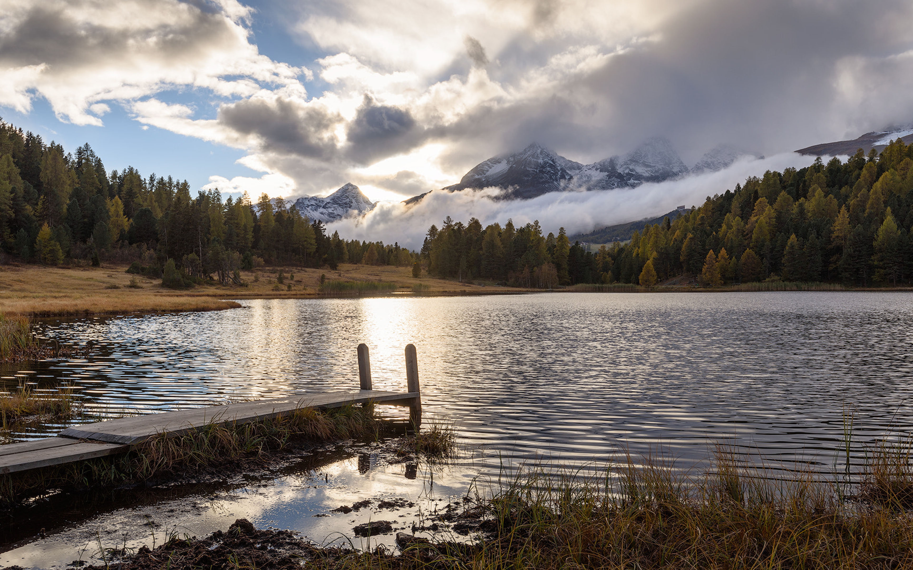 laptops, engadin, grisons, lake, hd, surrounded, ultra, 4K, desktop, mobile, forest, staz, valley, phones, switzerland, lea, HD Wallpaper