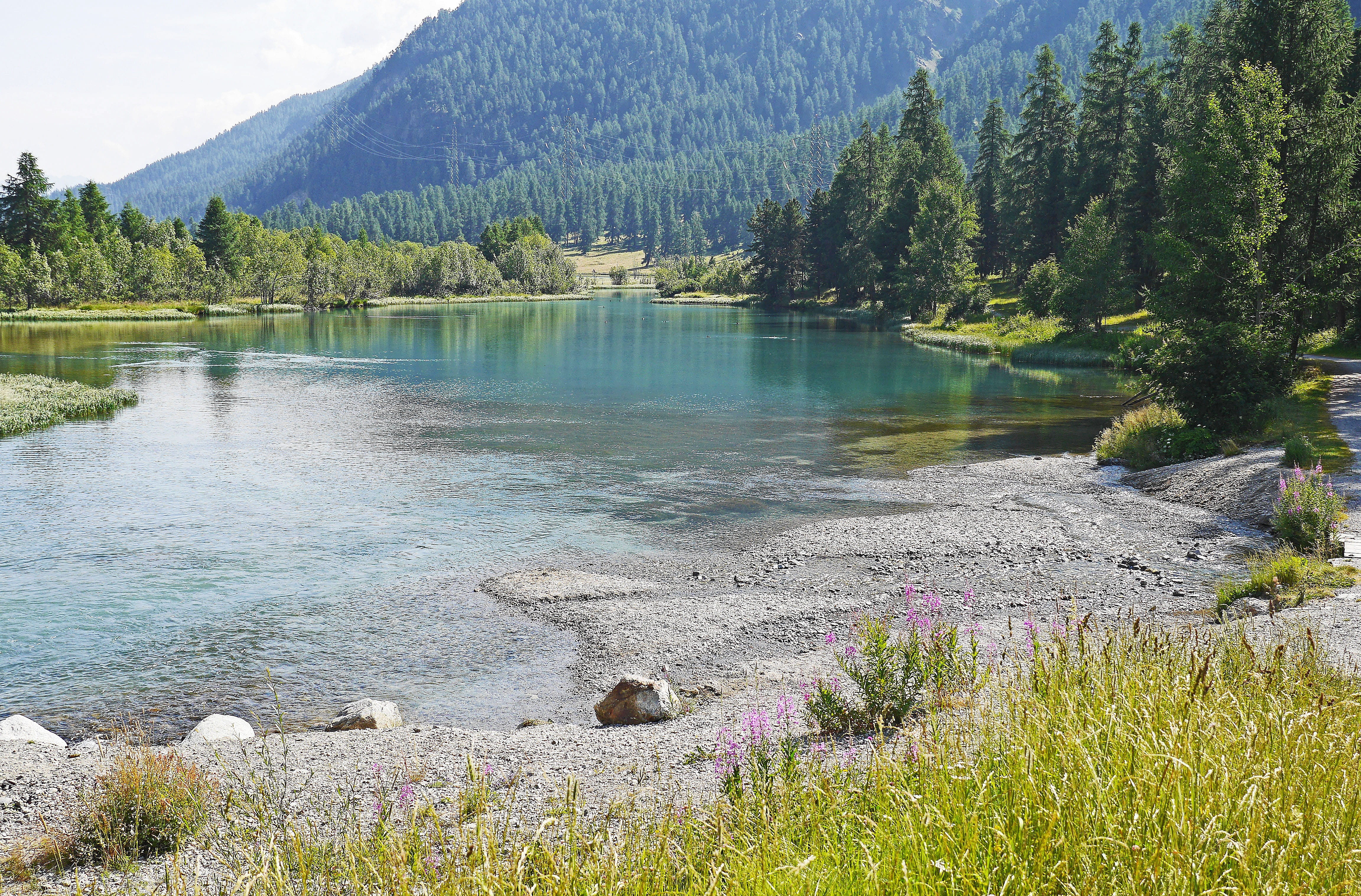 remote, summer, alpine, tranquility, flowering plant, landscape, high alps, body, switzerland, idyllic, tranquil scene, day, high inntal, lake, inntal valley, HD Wallpaper
