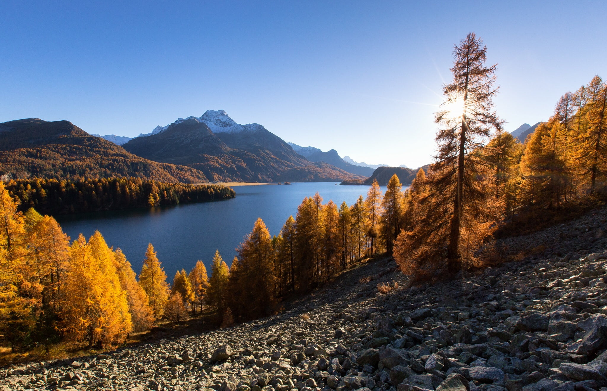 Switzerland, mountains, The Upper Engadine, 1080P, autumn, Grisons., lake, Grisons, trees, Upper Engadine valley, Lake Sils, Alps, HD Wallpaper