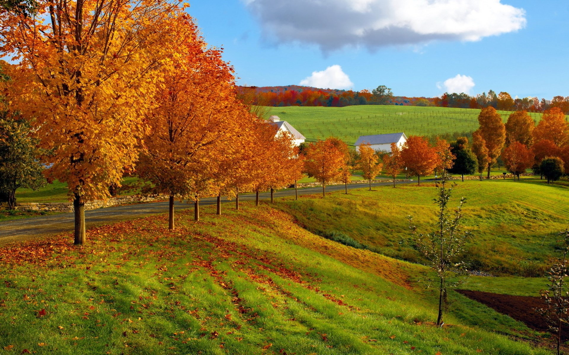 1080P, hi def nature backgrounds pictures 1920x1200, HD Wallpaper