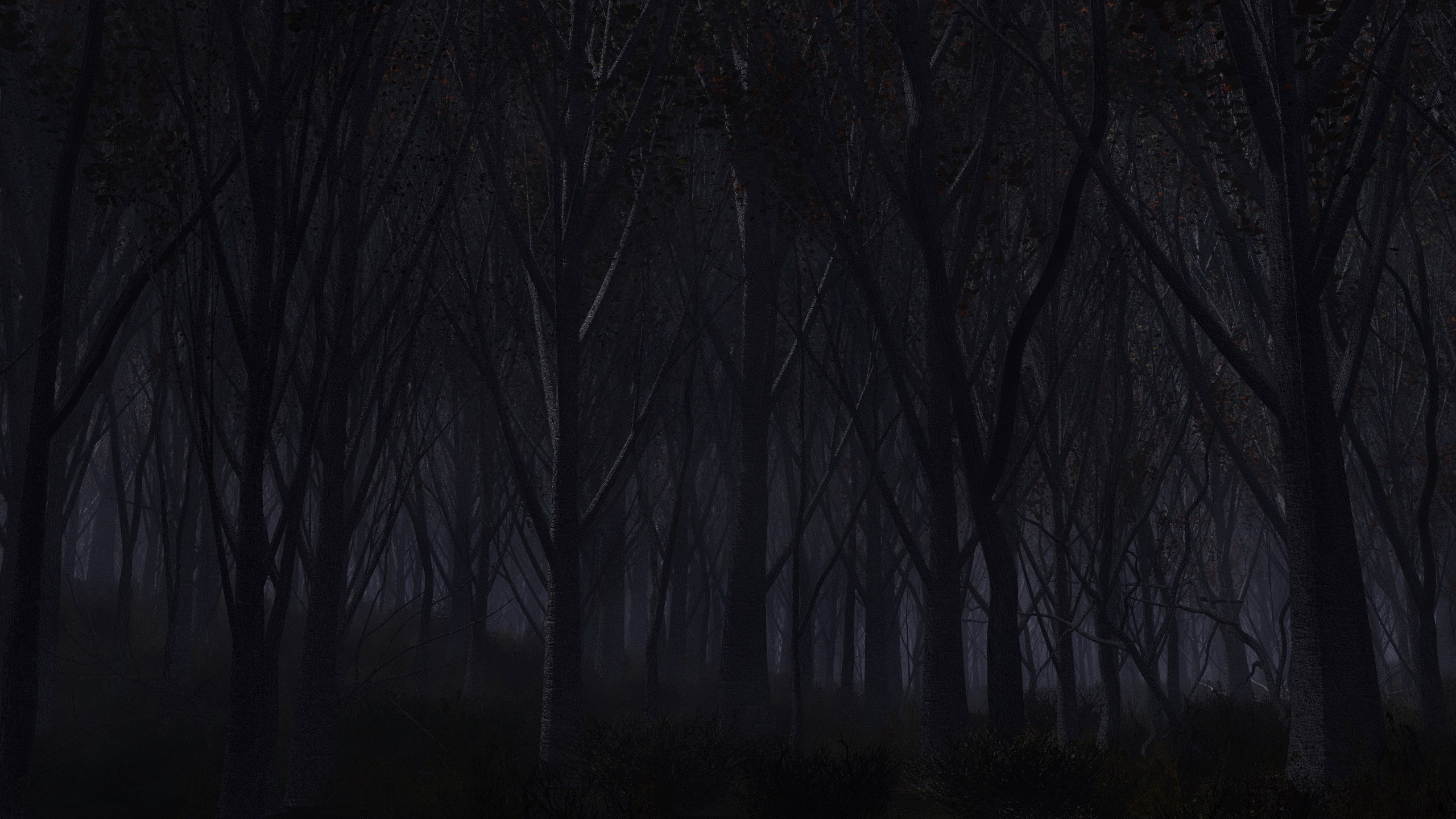 tree, mystery, tranquility, forest, tree trunk, nature, silhouette, no people, land, tranquil scene, night, sky, 2K, scenics - nature, plant, spooky, trunk, HD Wallpaper