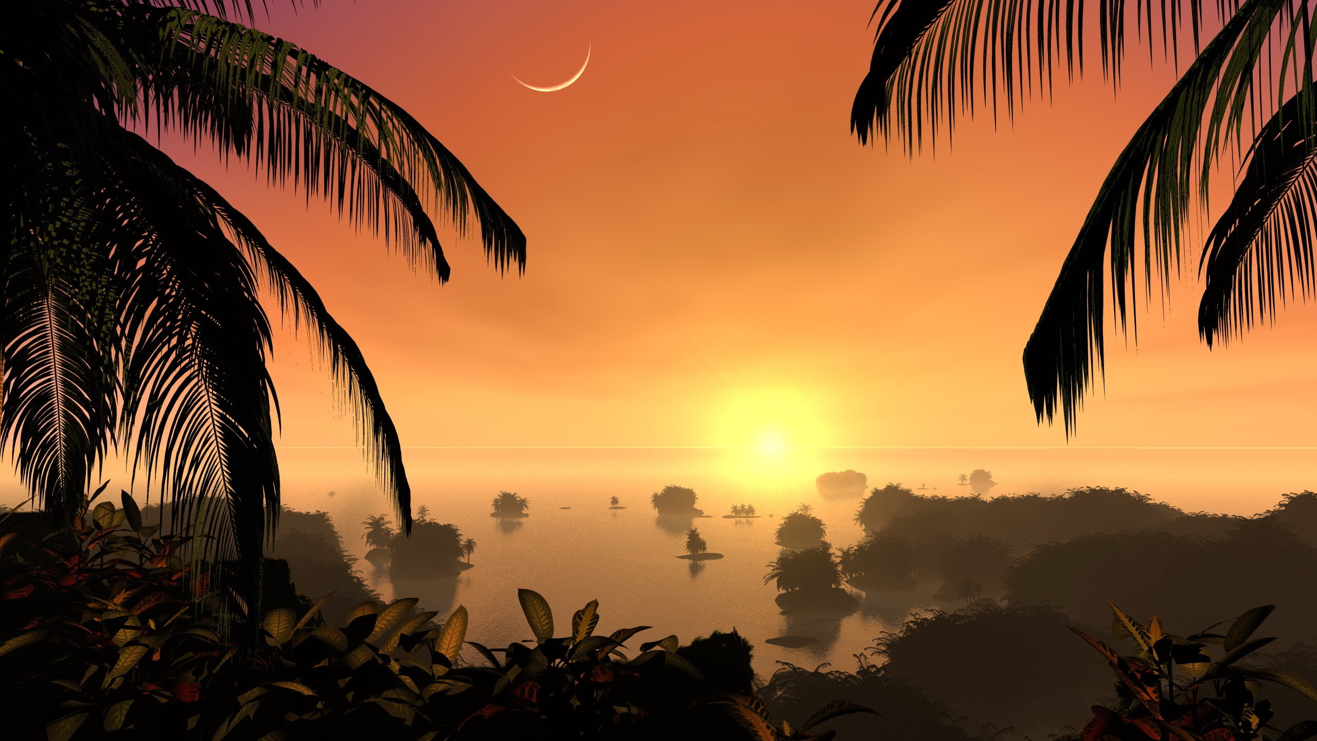 2K, tranquility, orange color, nature, silhouette, growth, palm leaf, sunset, palm tree, idyllic, hi def nature pictures 2560x1440, sea, no people, plant, HD Wallpaper