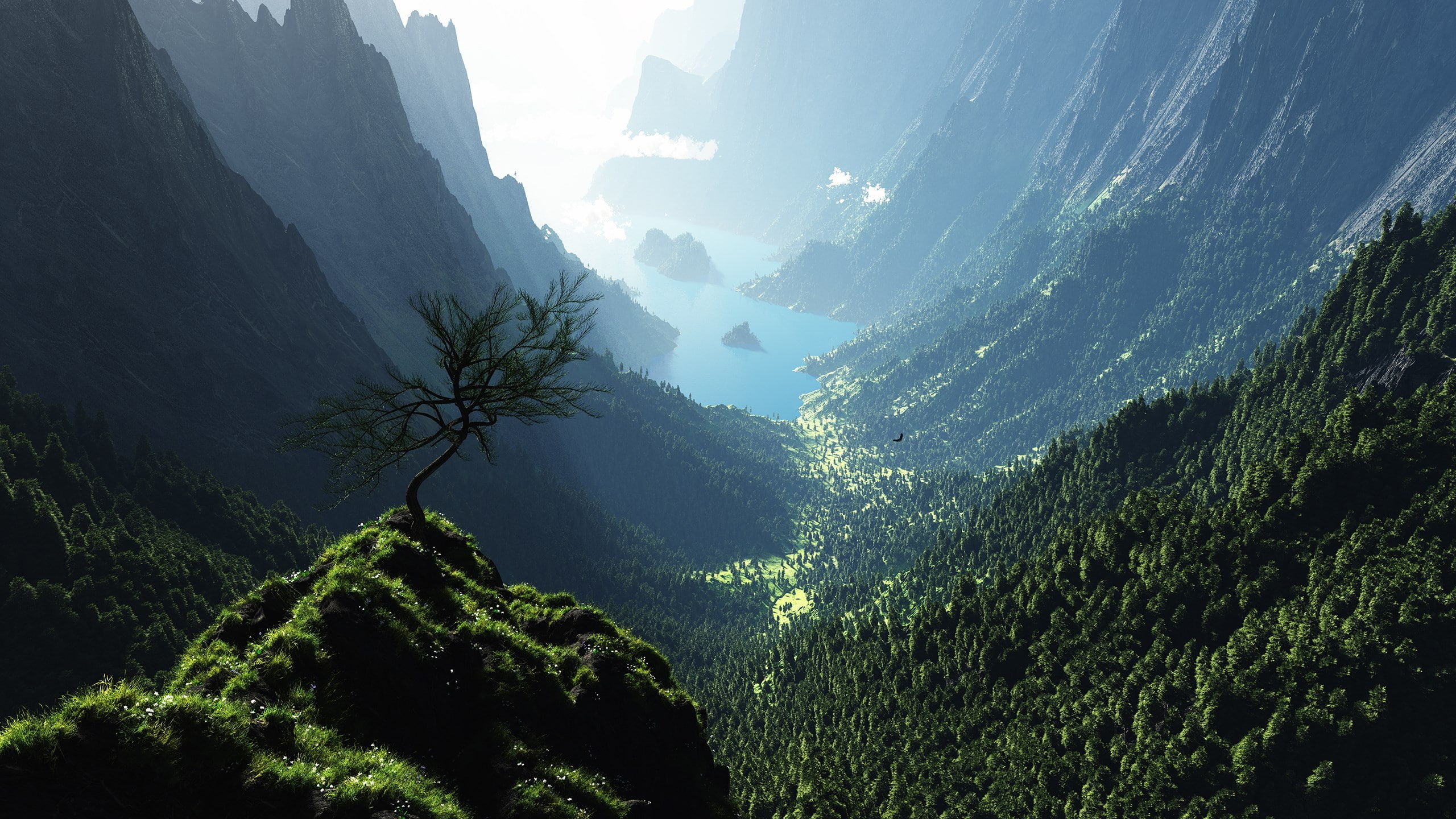 2K, hi def nature pictures 2560x1440, HD Wallpaper
