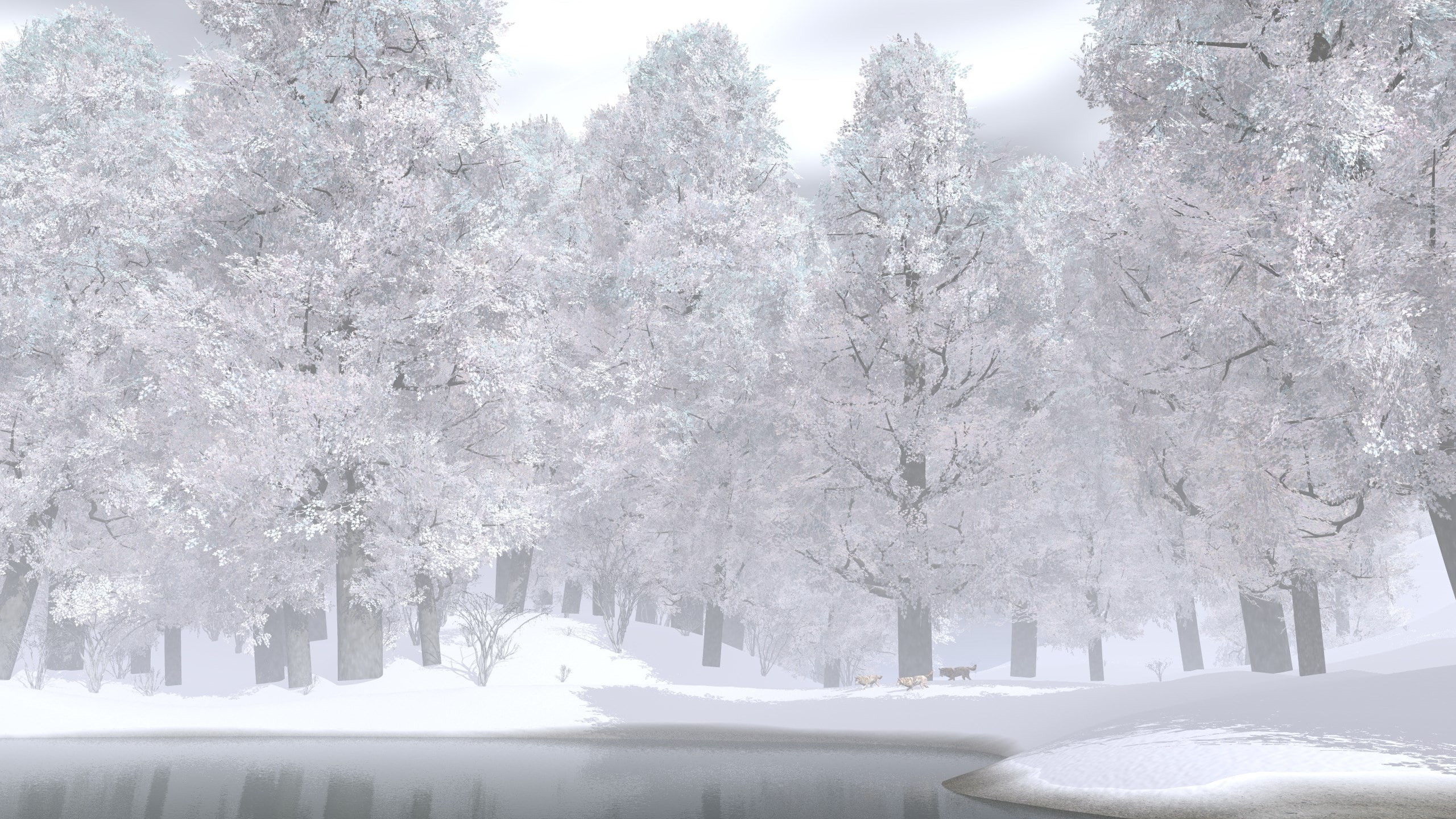 winter, plant, covering, snow, scenics - nature, cherry blossom, cherry tree, tranquility, 2K, cold temperature, white color, nature, outdoors, beauty in nature, HD Wallpaper