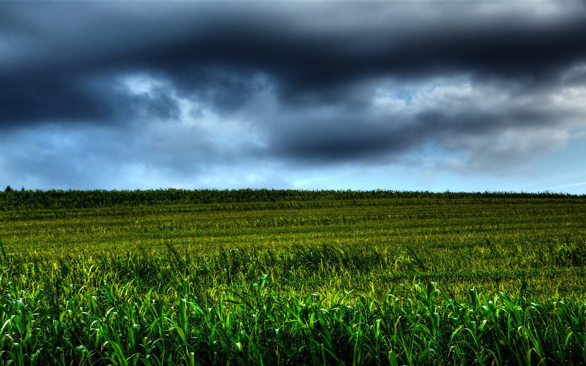 green color, beauty in nature, environment, ominous, storm cloud, field, landscape, hi def nature backgrounds pictures 1920x1200, thunderstorm, outdoors, HD Wallpaper