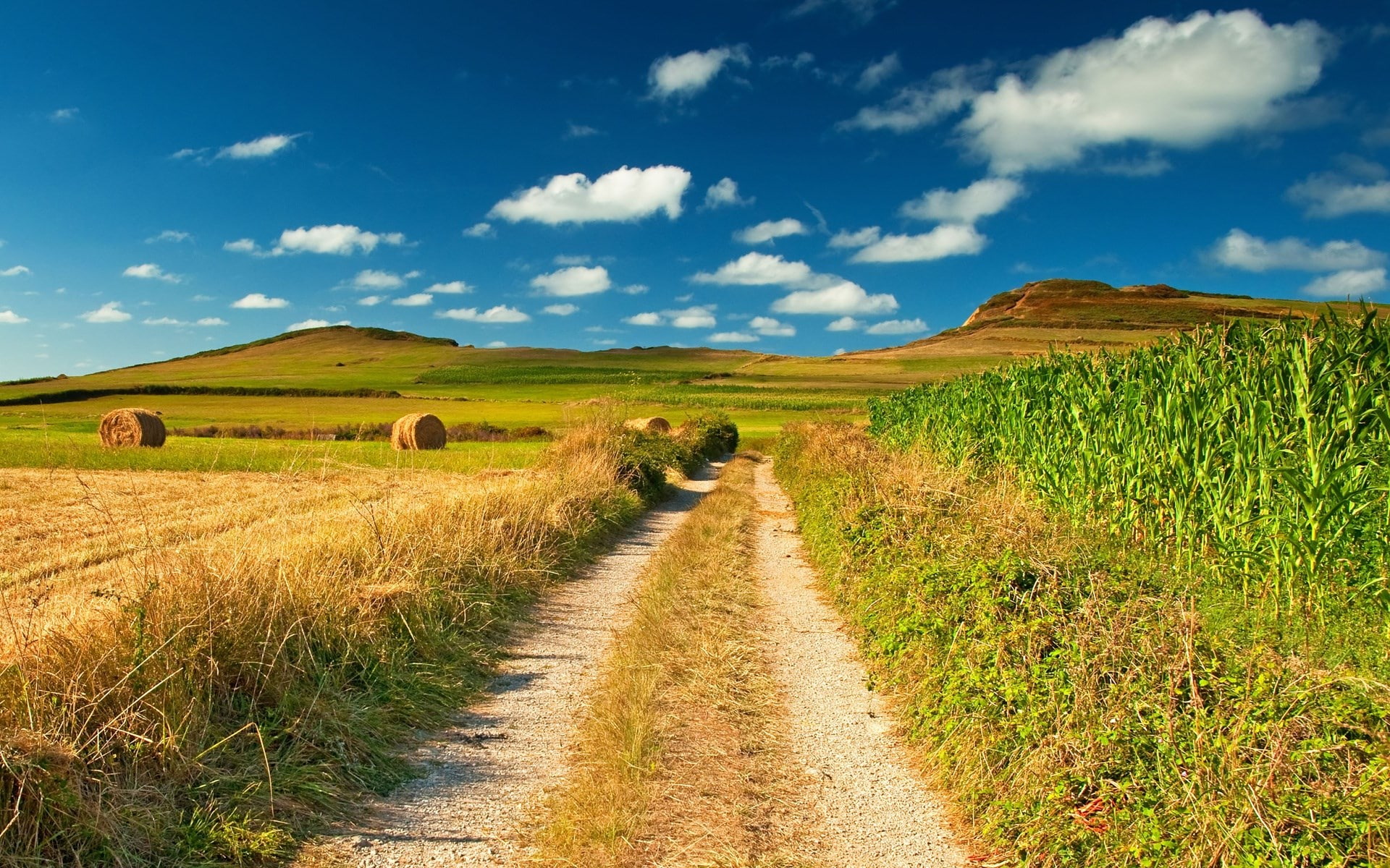 1080P, hi def nature backgrounds pictures 1920x1200, HD Wallpaper