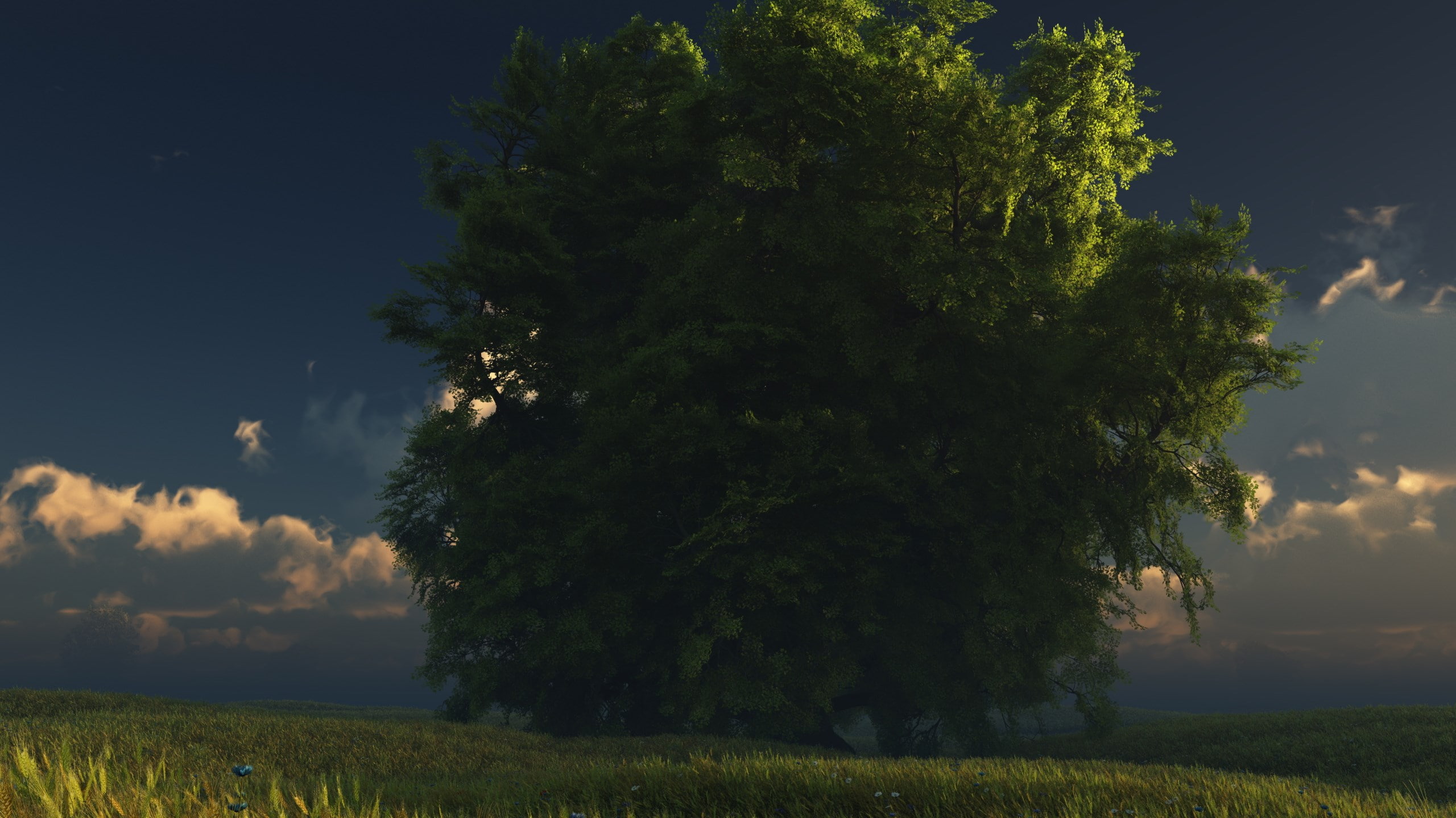 landscape, tree, growth, outdoors, tranquil scene, hi def nature pictures 2560x1440, plant, cloud - sky, land, scenics - nature, beauty in nature, 2K, HD Wallpaper