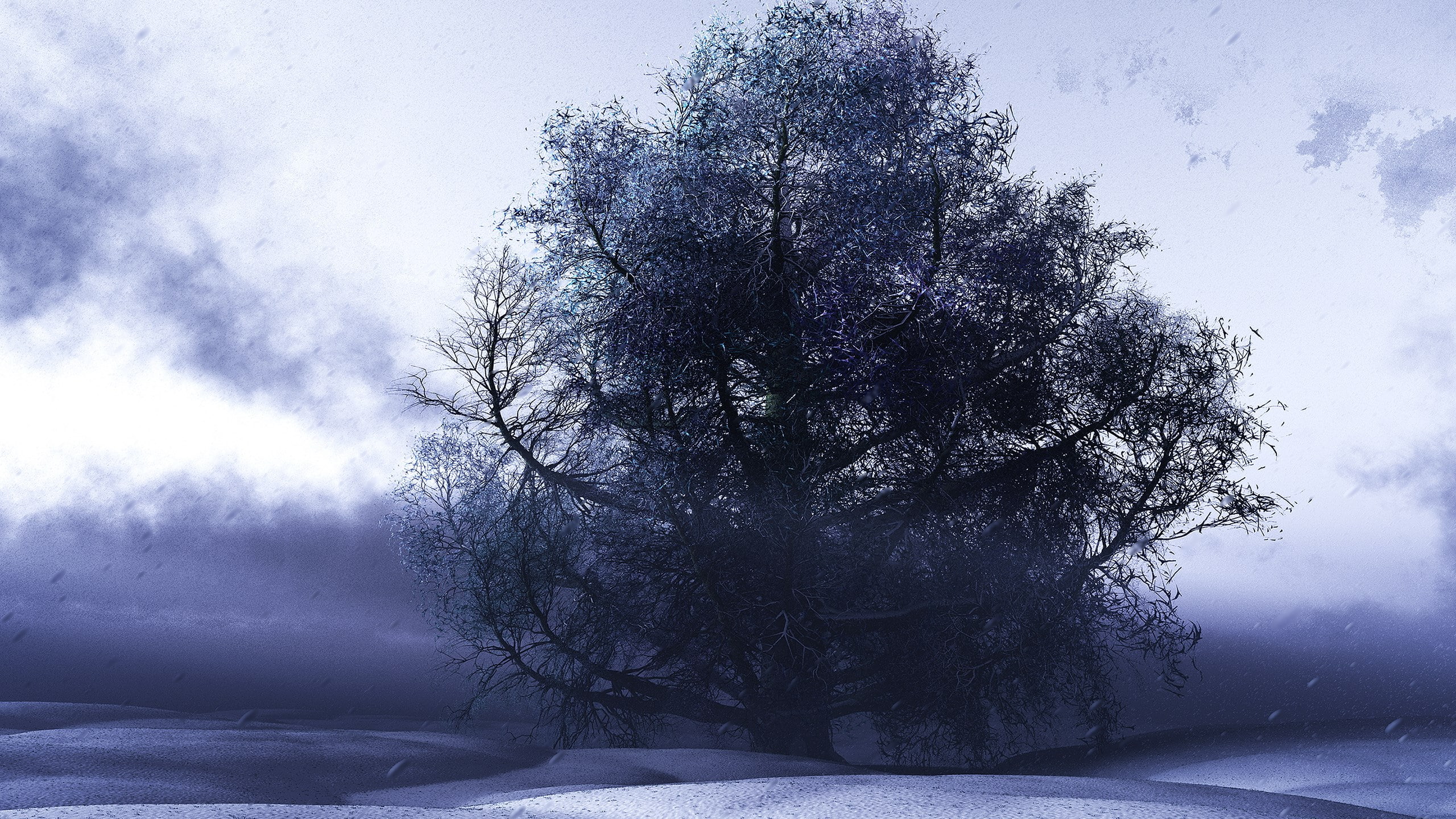 tree, extreme weather, landscape, non-urban scene, snow, frozen, cloud - sky, beauty in nature, environment, tranquility, sky, land, cold temperature, covering, HD Wallpaper