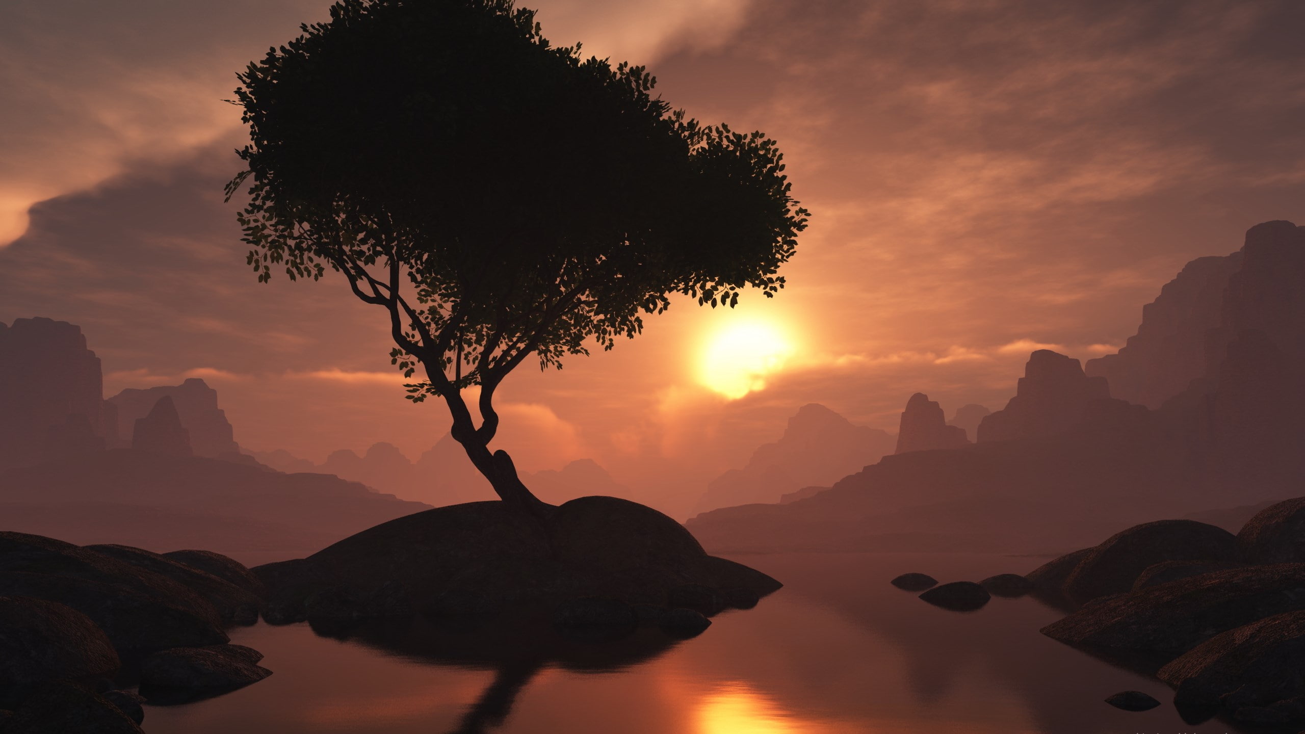 hi def nature pictures 2560x1440, 2K, HD Wallpaper