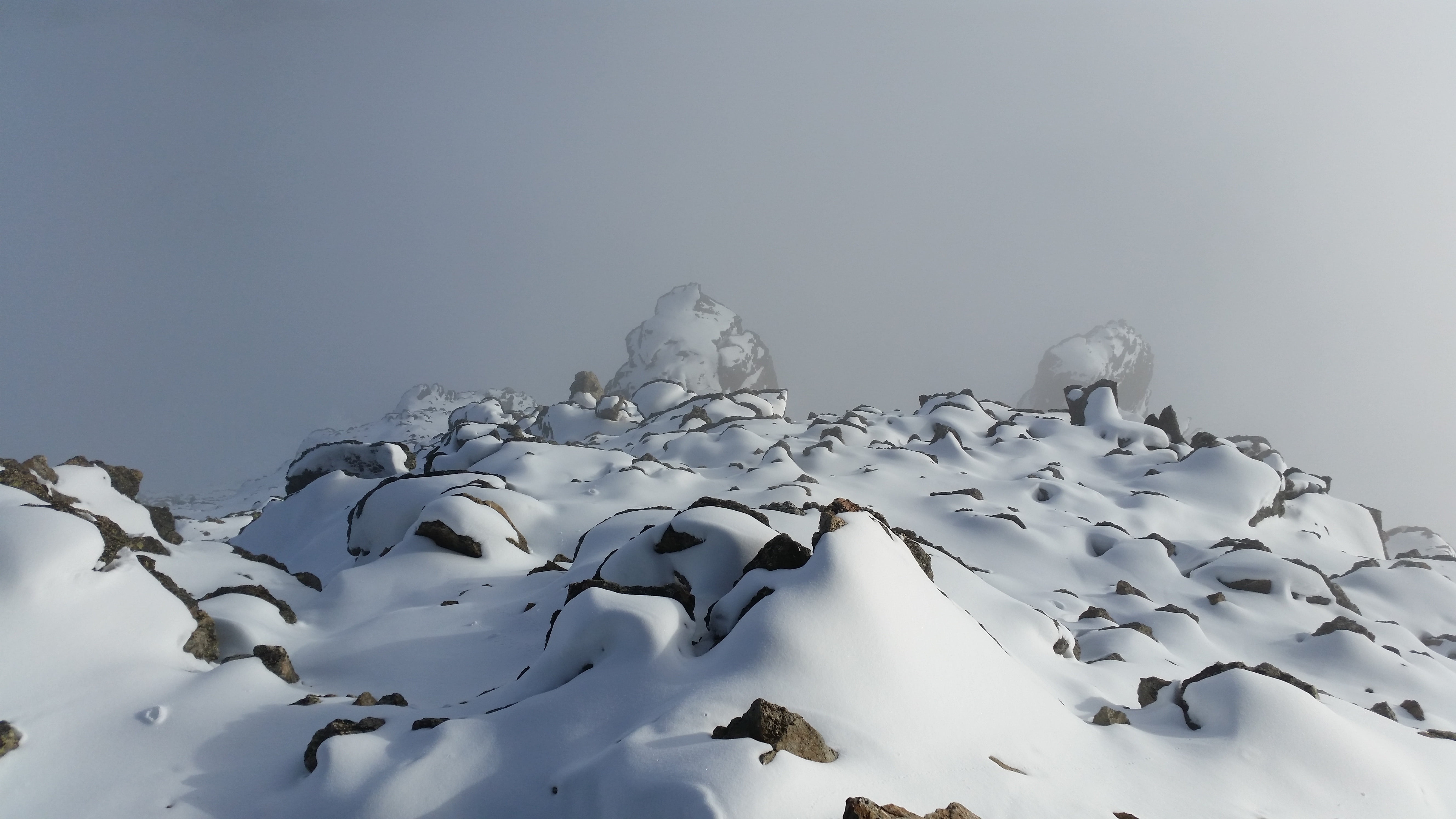 sky, switzerland, animals in the wild, beauty in nature, tranquility, snowcapped mountain, environment, snow, outdoors, animal, no people, animal themes, HD Wallpaper