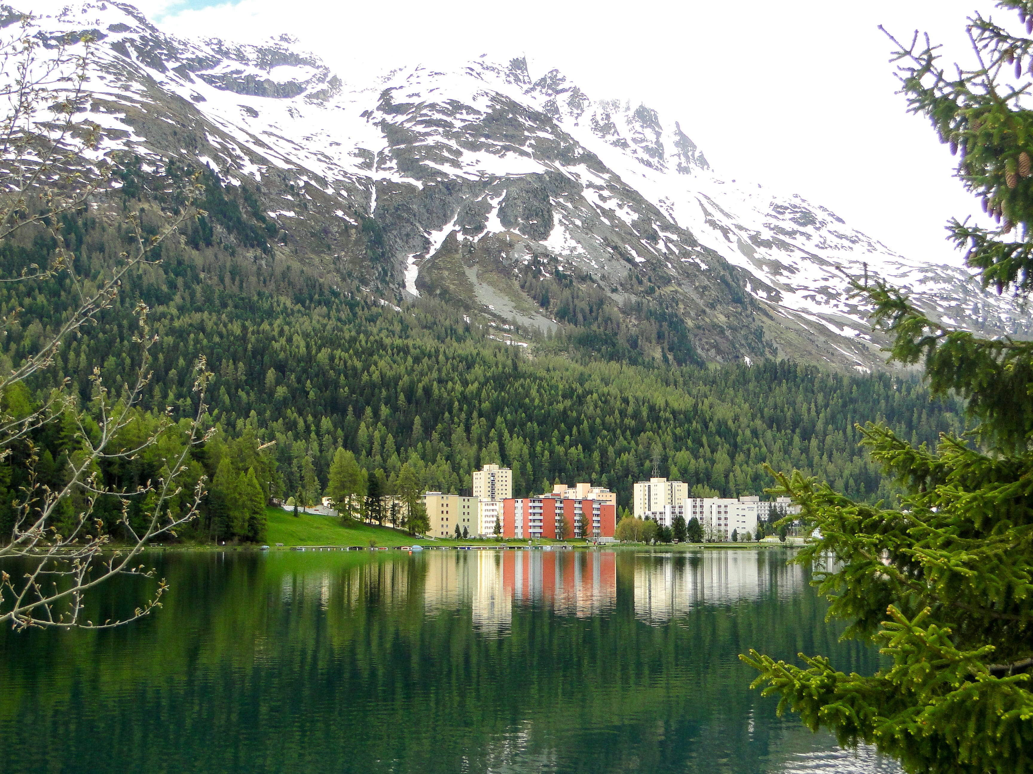 day, green color, scenics - nature, outlook, st moritz, waterfront, mountain, mountain range, plant, nature, architecture, outdoors, landscape, tree, 2K, HD Wallpaper