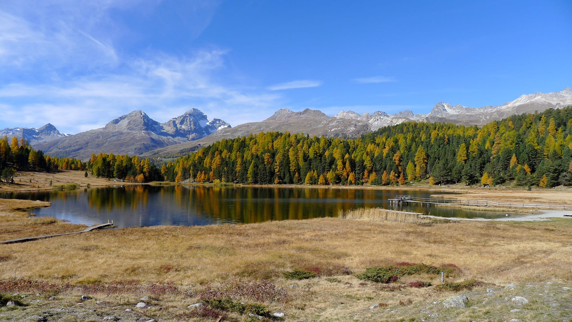 outdoors, staz, scenics - nature, alpine, tranquil scene, tree, beauty in nature, sky, pine woodland, reflection, autumn, bank, forest, plant, mountain, HD Wallpaper