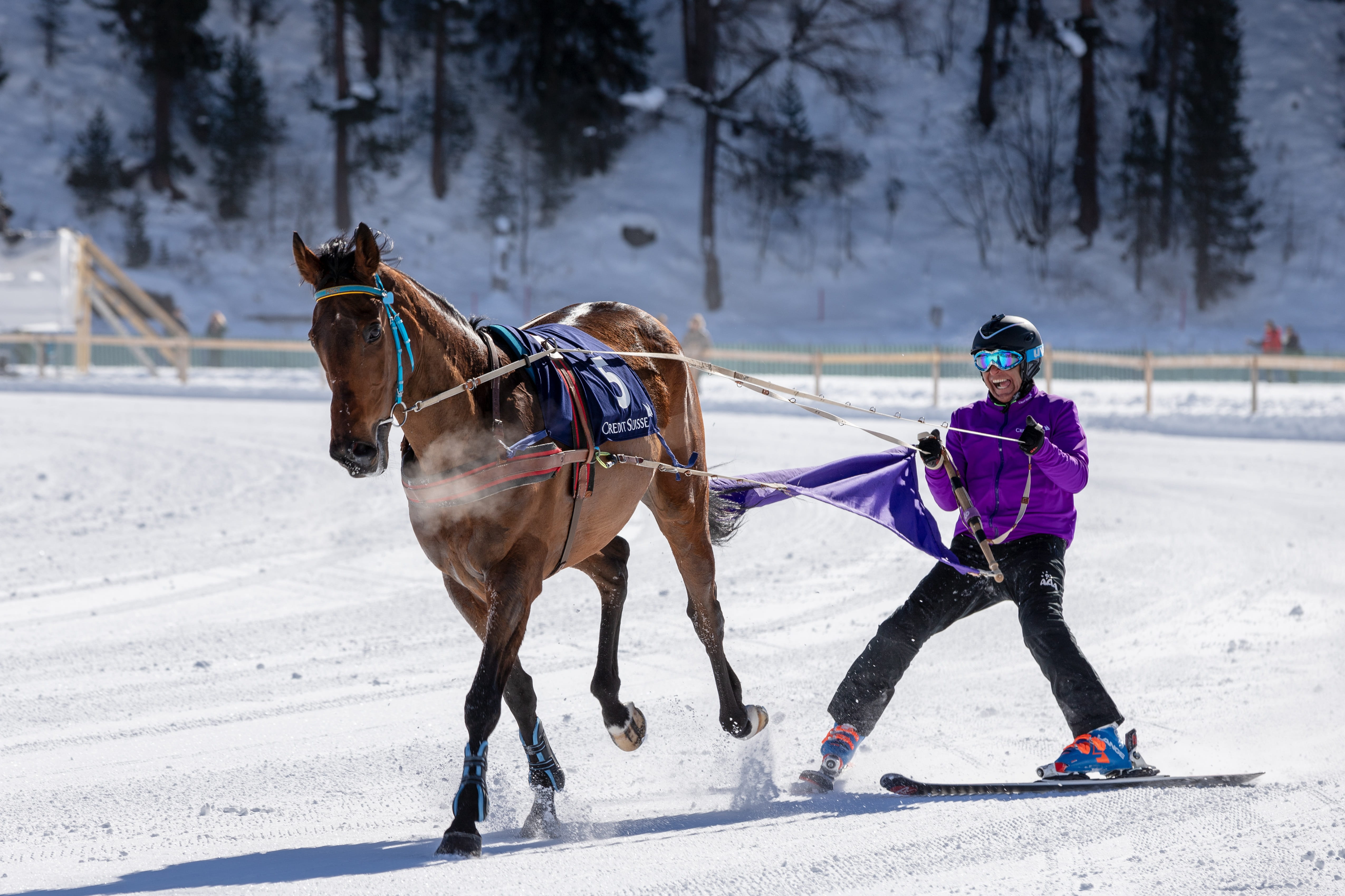 cold, snow, tradition, gefrohren, sport, real people, full length, nature, pets, oberengadin, brake, warm clothing, winter, mammal, 4K, jockey, cold temperature, HD Wallpaper