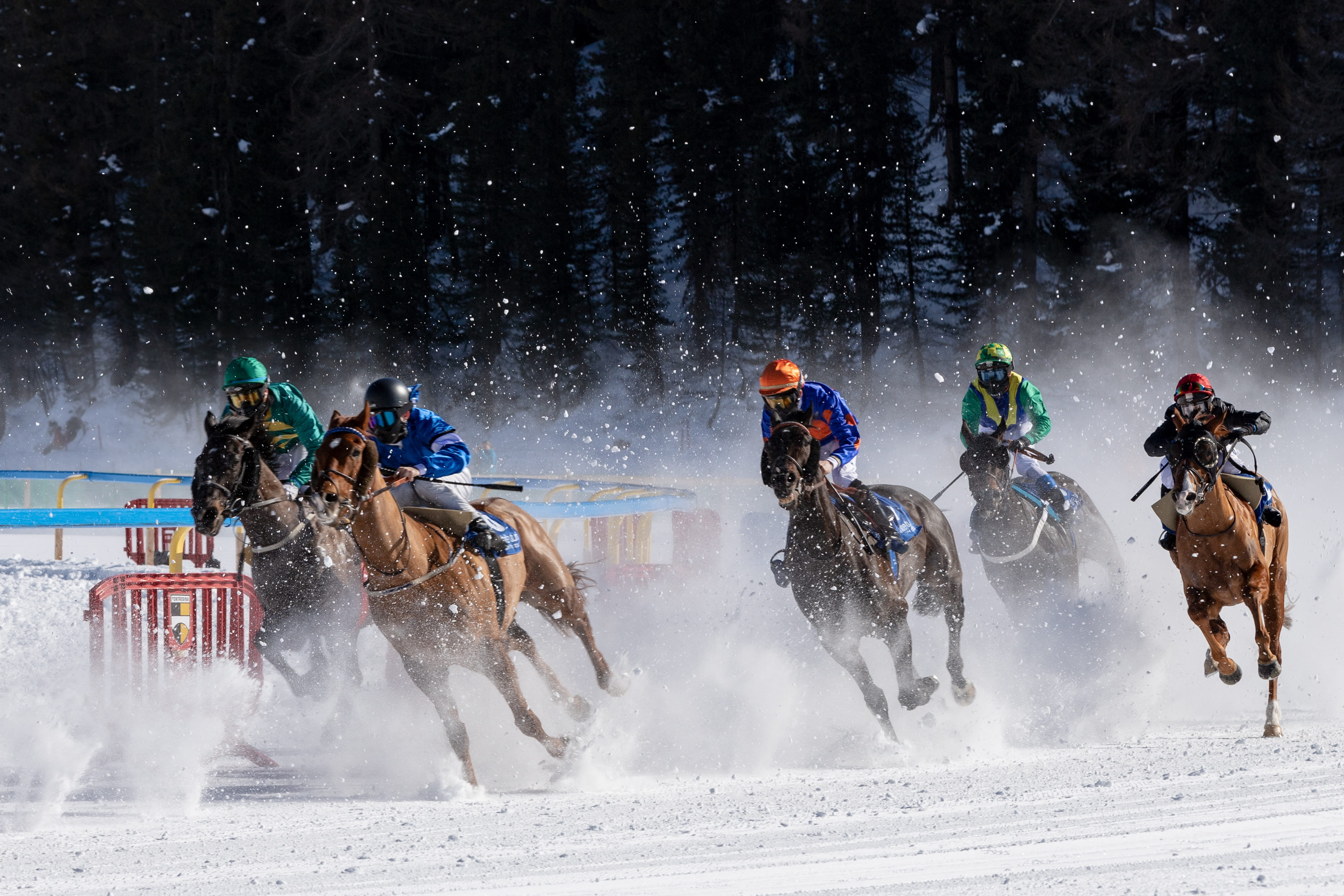 motion, graubünden, trot, animals, sports race, horse, gefrohren, jockey, animal wildlife, real people, switzerland, group of people, gallop, nature, mammal, HD Wallpaper