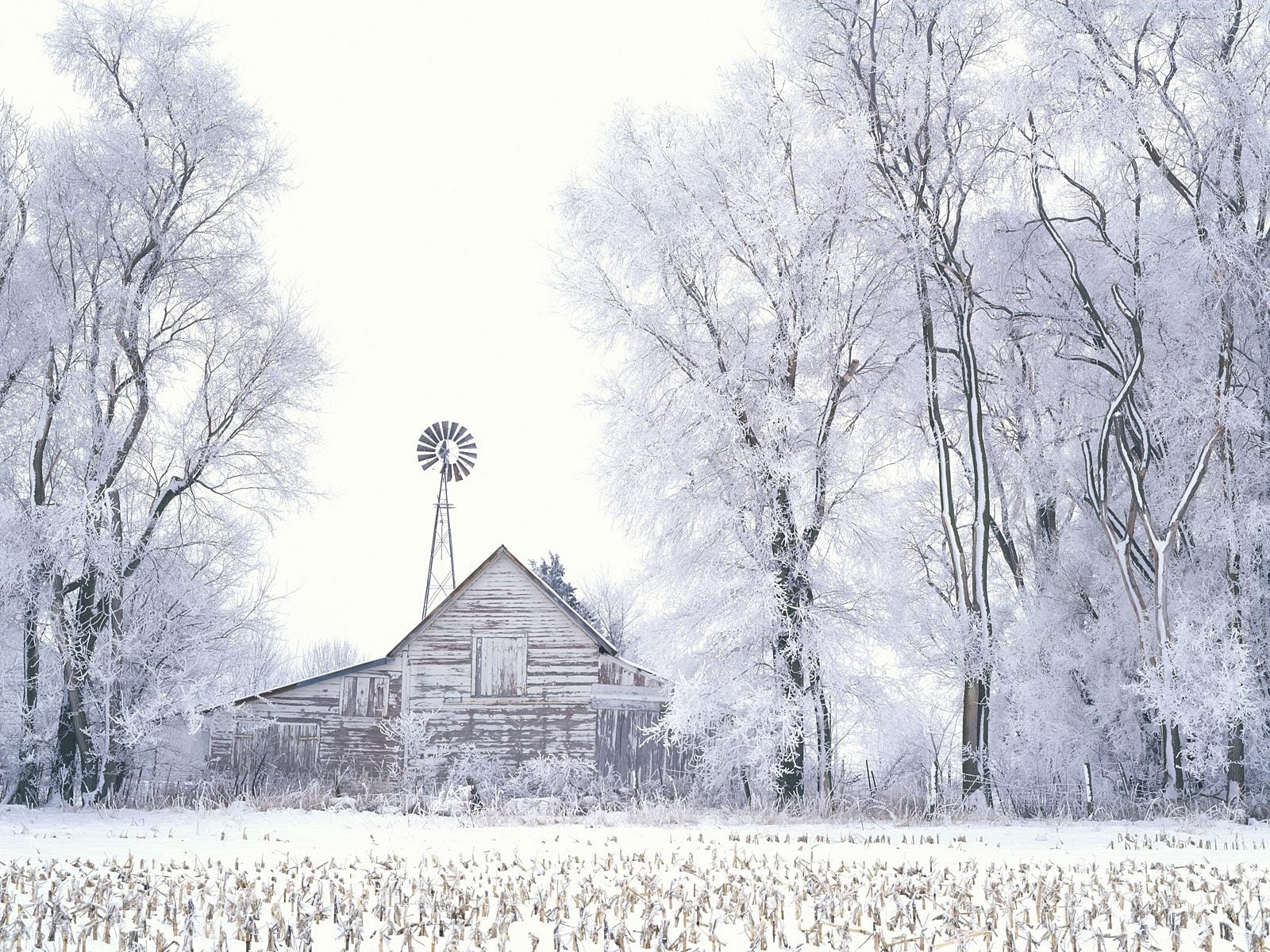 wood - Material, hoarfrost, bare Tree, farm, weather, scenics, brown, color Image, tranquility, growth, sky, rural Scene, blue, landscape, tree, building Exterior, HD Wallpaper