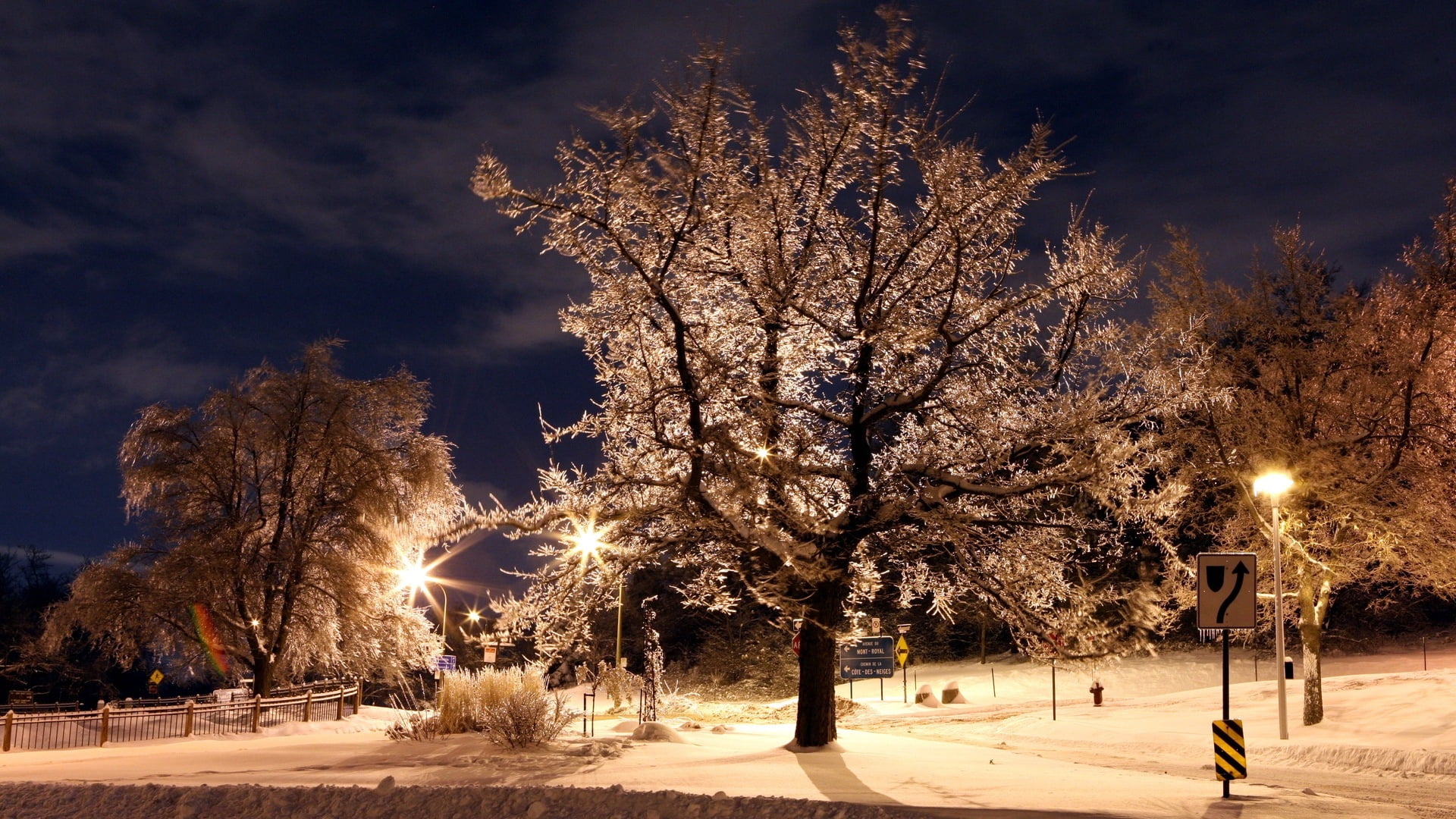 architecture, city, night, dark, sky, sunset, no People, cold - Temperature, twilight, scenics, hoarfrost, tree, leafed, tree trunk, park, december, season, HD Wallpaper