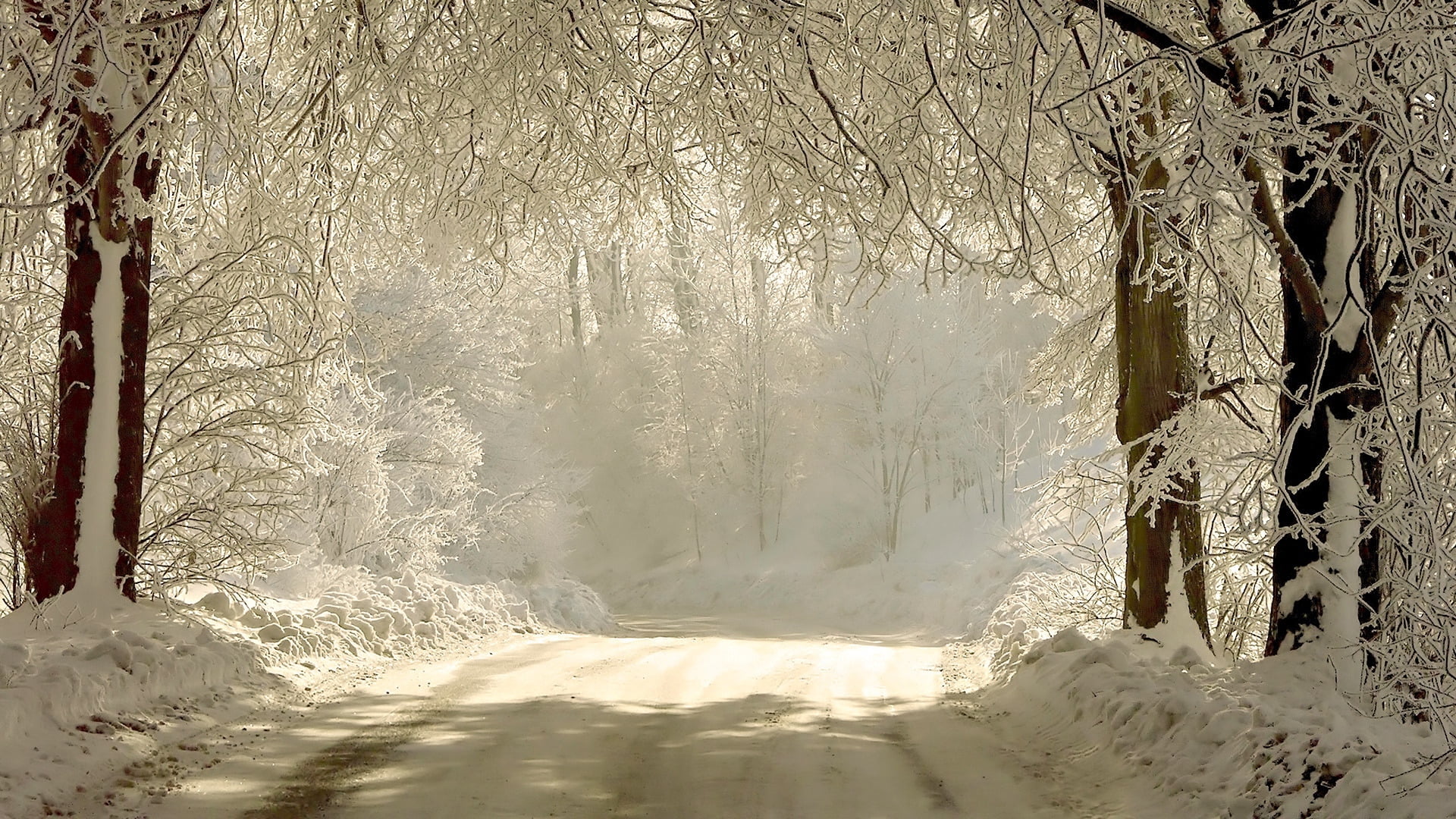 tranquil Scene, plant, non-Urban Scene, january, hoarfrost, road, beauty In Nature, christmas, outdoors, cold - Temperature, season, snow, shadows, trees, HD Wallpaper