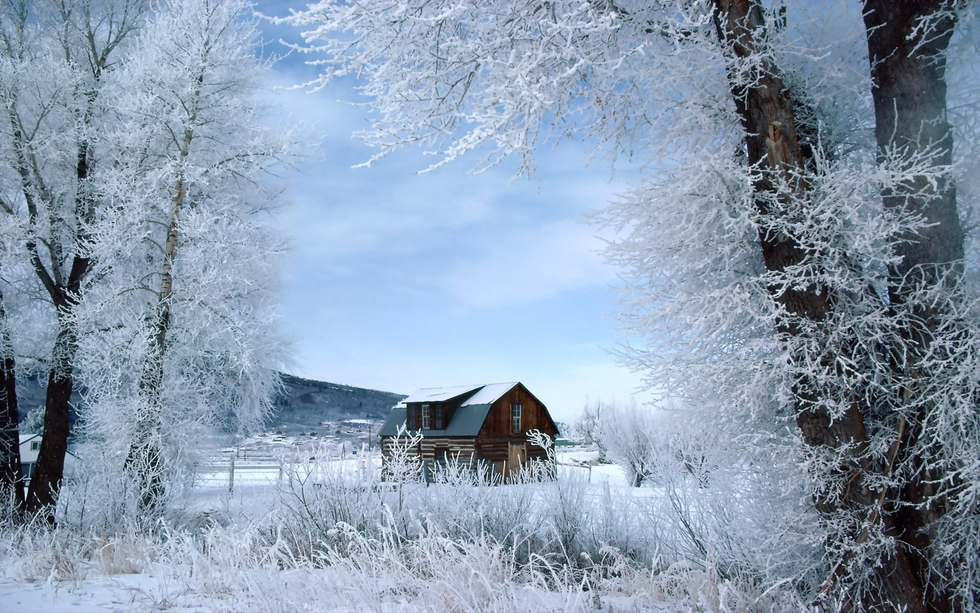 forest, brown, trees, white, building, landscape, cottage, white color, frost, 1080P, architecture, house, sky, hut, color Image, season, building Exterior, HD Wallpaper