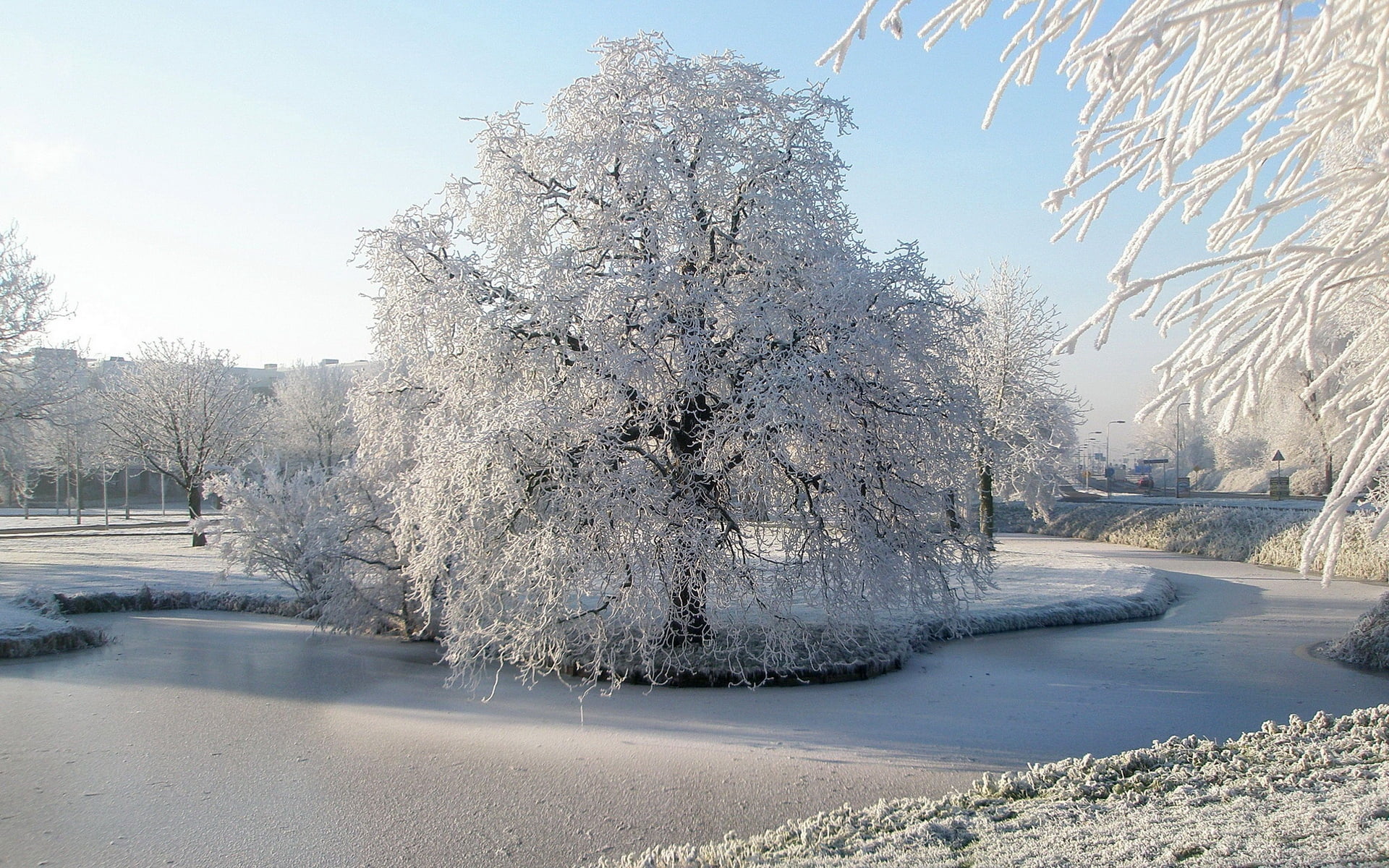 water, ice, frozen, scenics, branch, weather, park - Man Made Space, beauty In Nature, road, sky, nature, covered, forest, 1080P, cold temperature, blue, HD Wallpaper