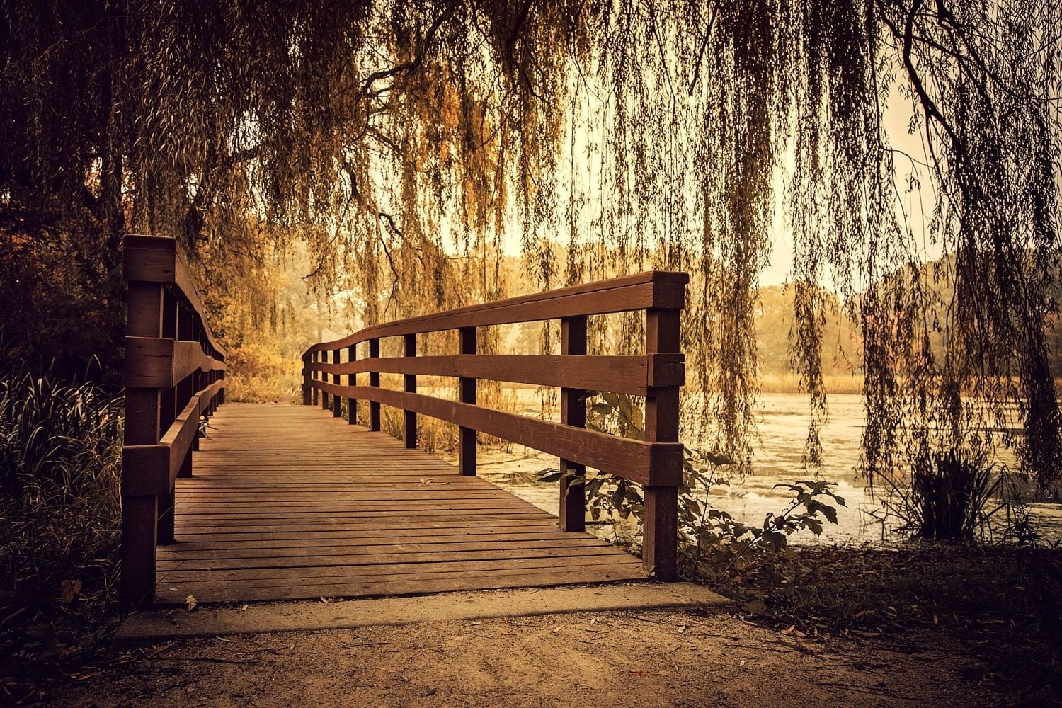 nature, Illinois, 720P, photography, wooden surface, bridge, path, landscape, river, willow trees, HD Wallpaper
