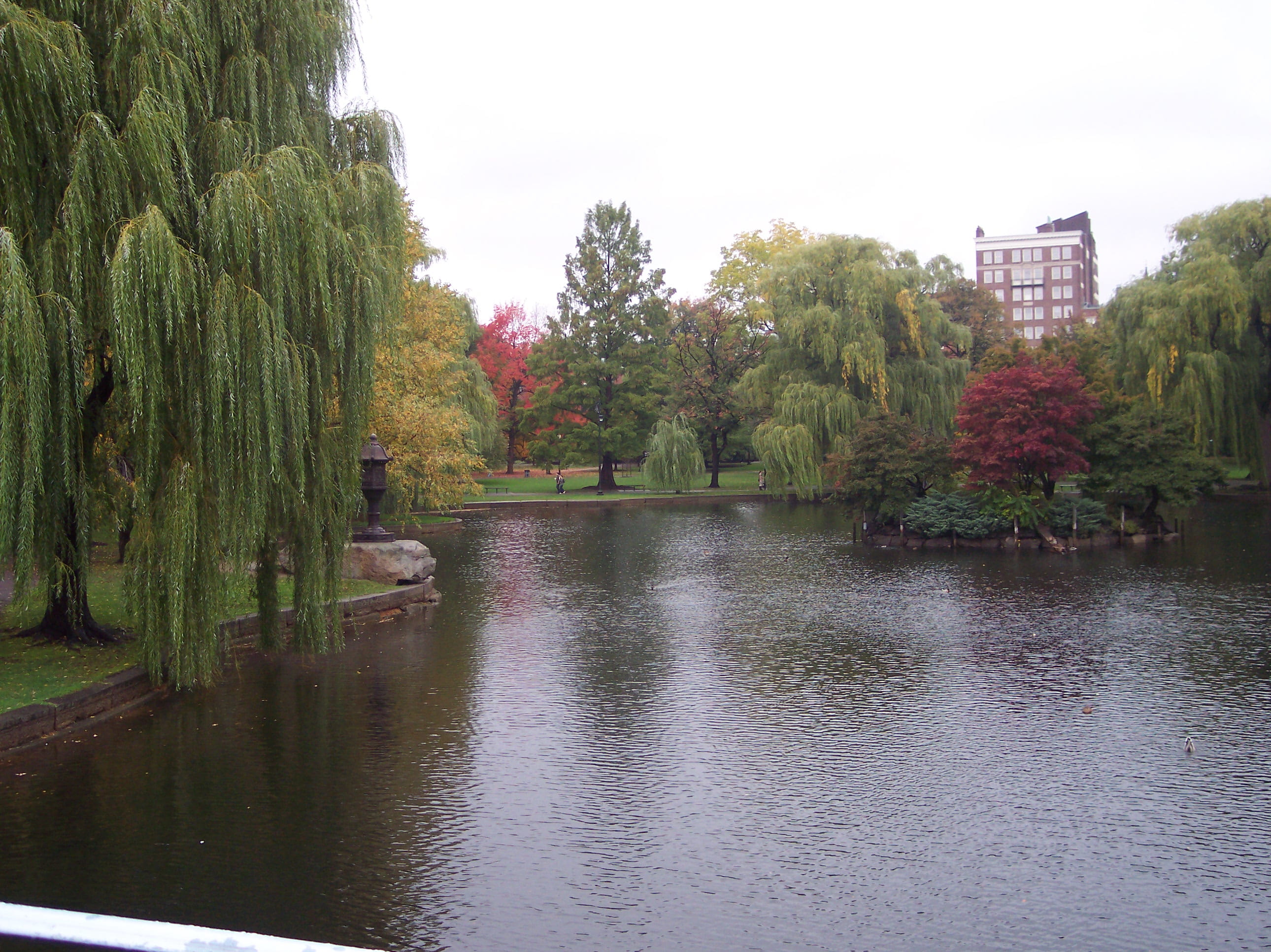 Boston, day, lake, waterfront, built structure, outdoors, beauty in nature, 2K, public, common, no people, tree, sky, growth, willow, architecture, reflection, HD Wallpaper