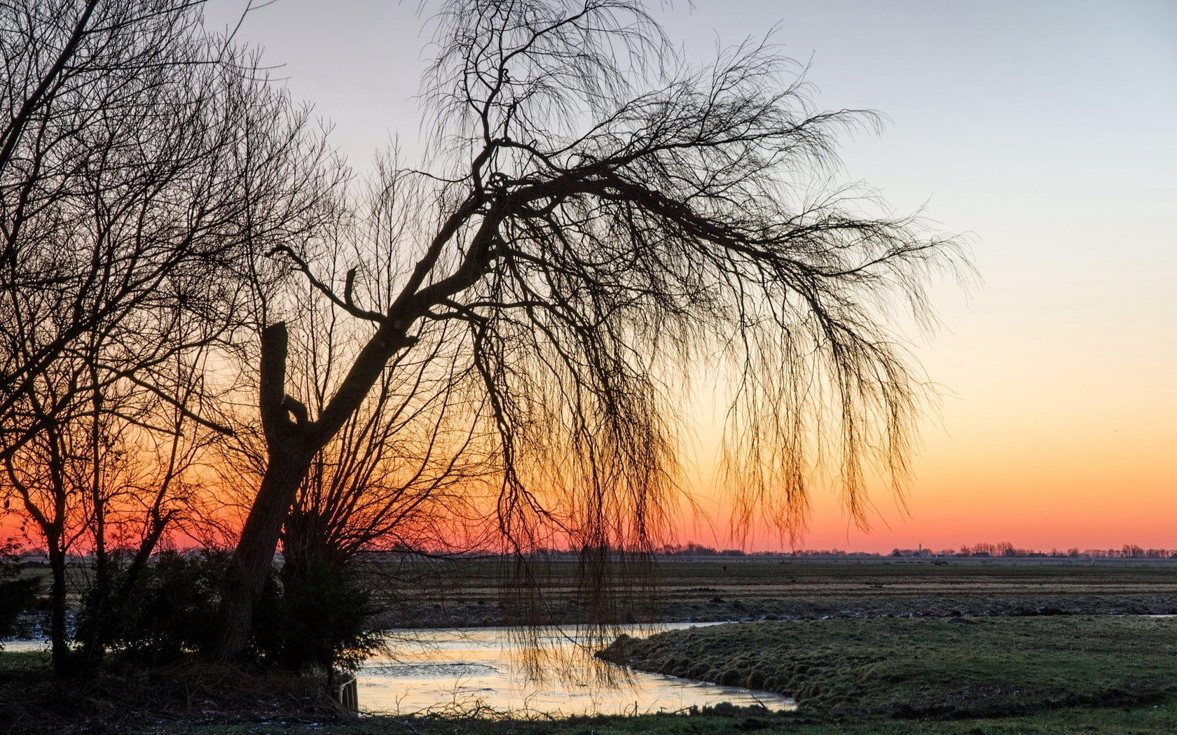 decline, willow, 720P, tree, branches, HD Wallpaper