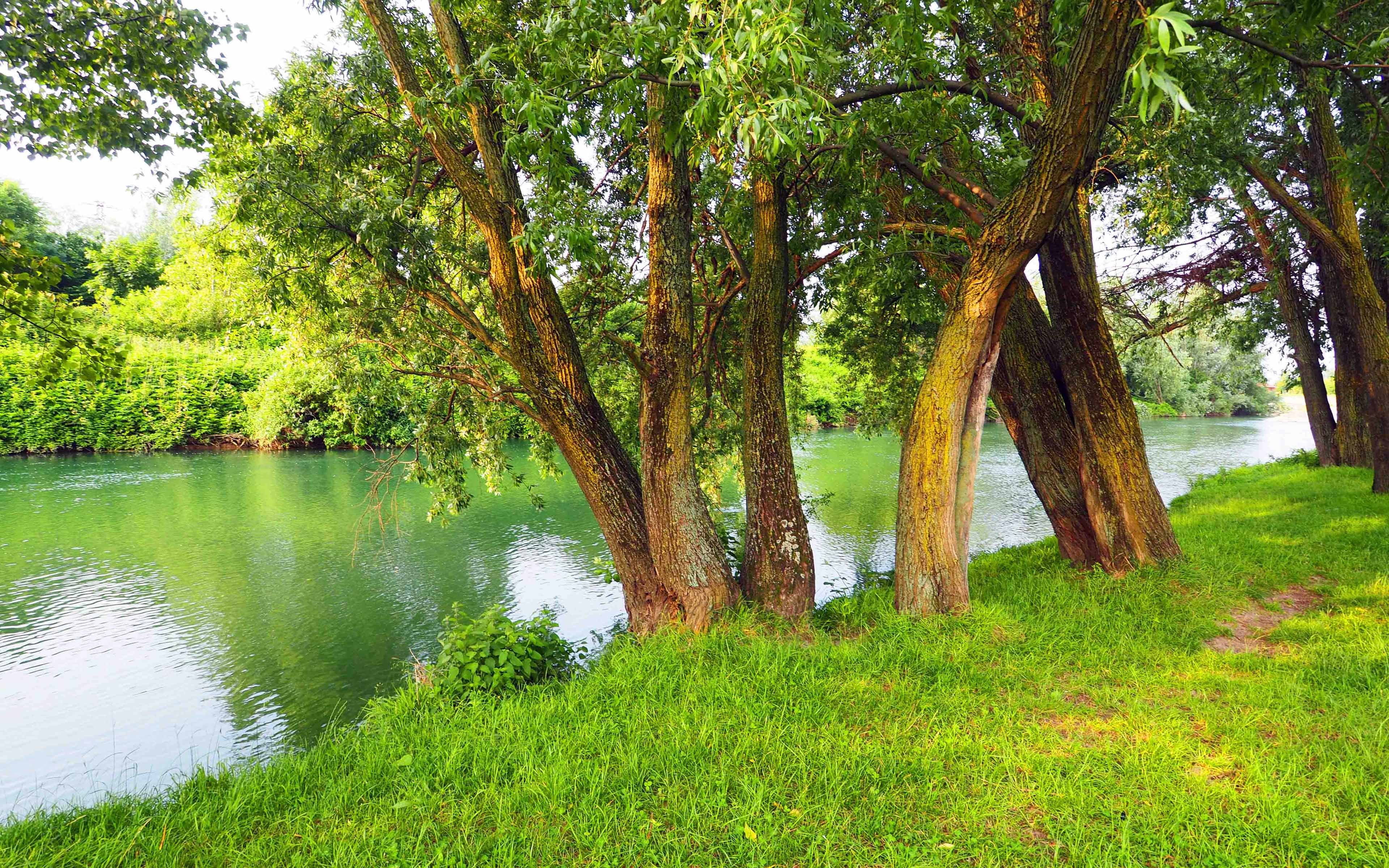 outdoors, lake, 4K, calm, water, growth, green color, scenics - nature, beauty in nature, tree, grass, non-urban scene, desktop, land, plant, tranquility, HD Wallpaper