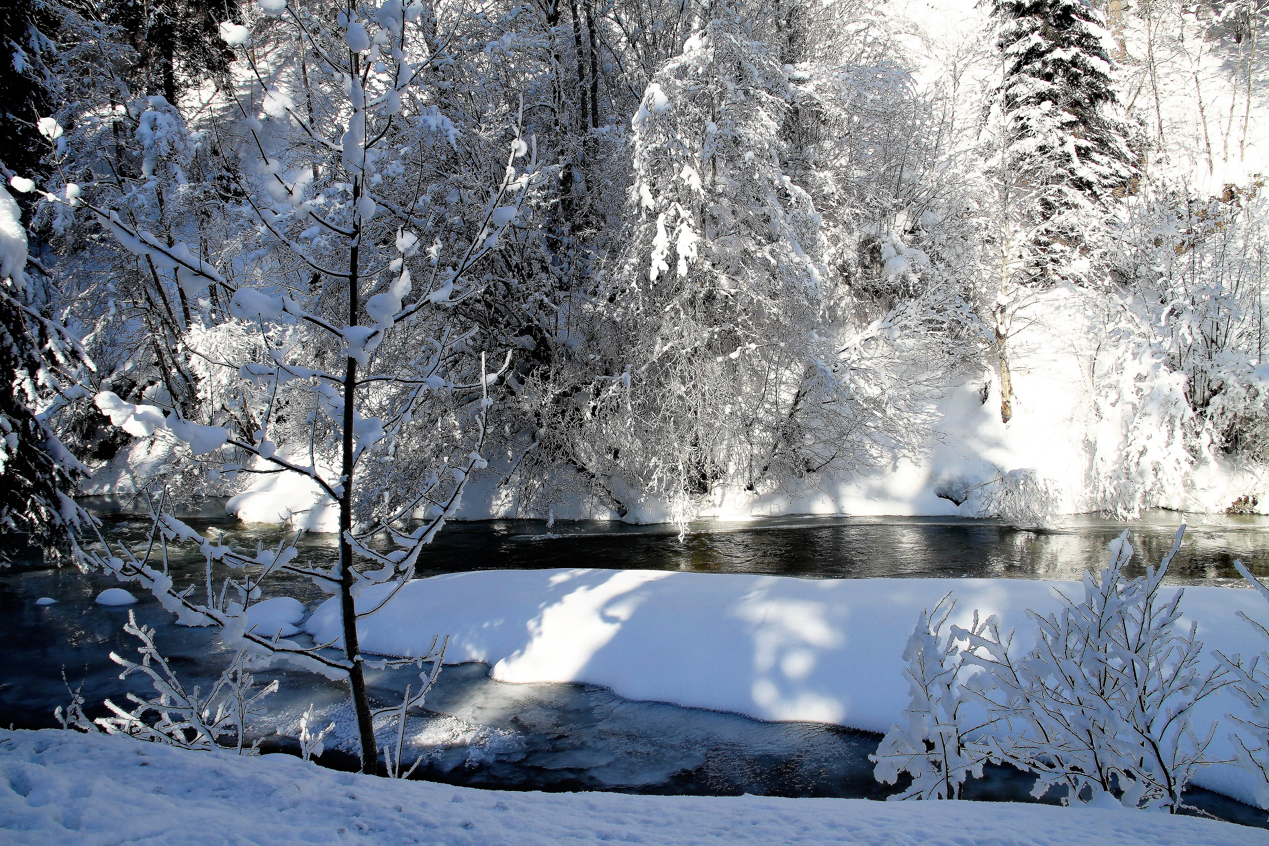landscape, tree, icy cold, reflection, sun, snowy, water, cold, tranquility, frosty, wintry, winter, tranquil scene, winter time, frost, non-urban scene, HD Wallpaper