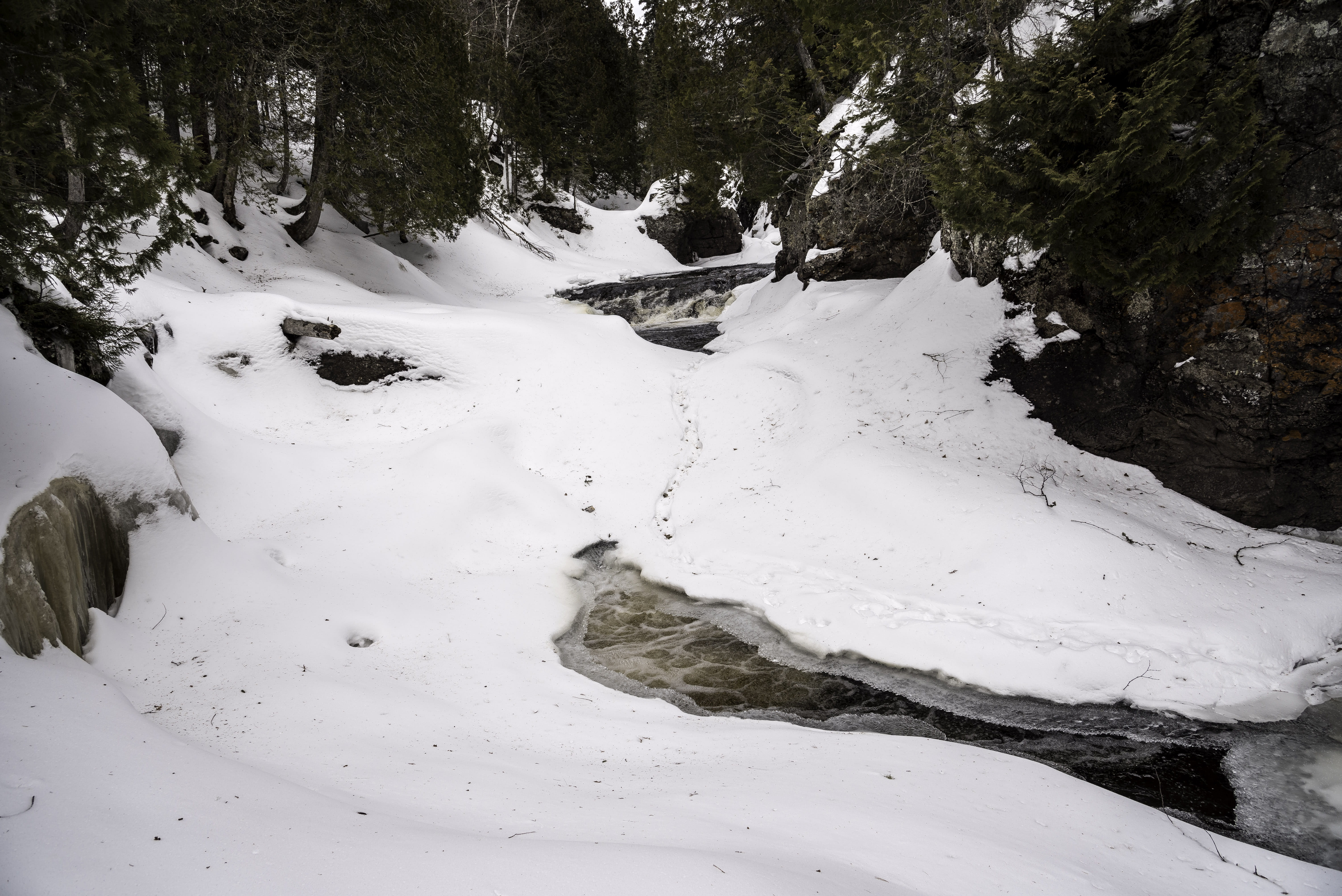 snowy, coniferous tree, snowcapped mountain, forest, tranquility, landscape, snowy river, snow, plant, winter, white, cascade, land, Icy, photos, mountain, HD Wallpaper