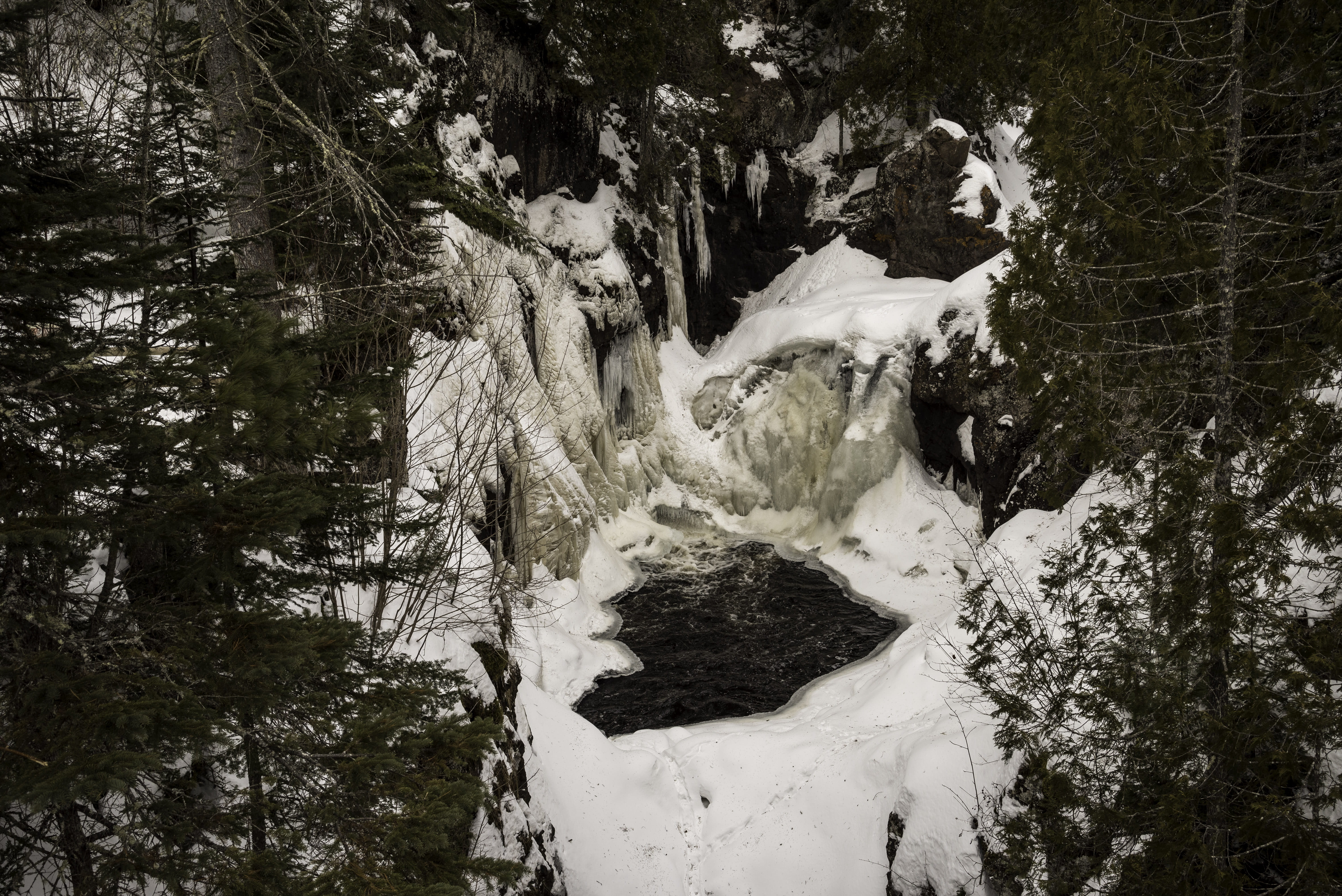 5K, scenics - nature, Minnesota, landscape with trees, woodland, beauty in nature, river, plant, Cascade River State Park, outdoors, tranquility, tree trunk, HD Wallpaper
