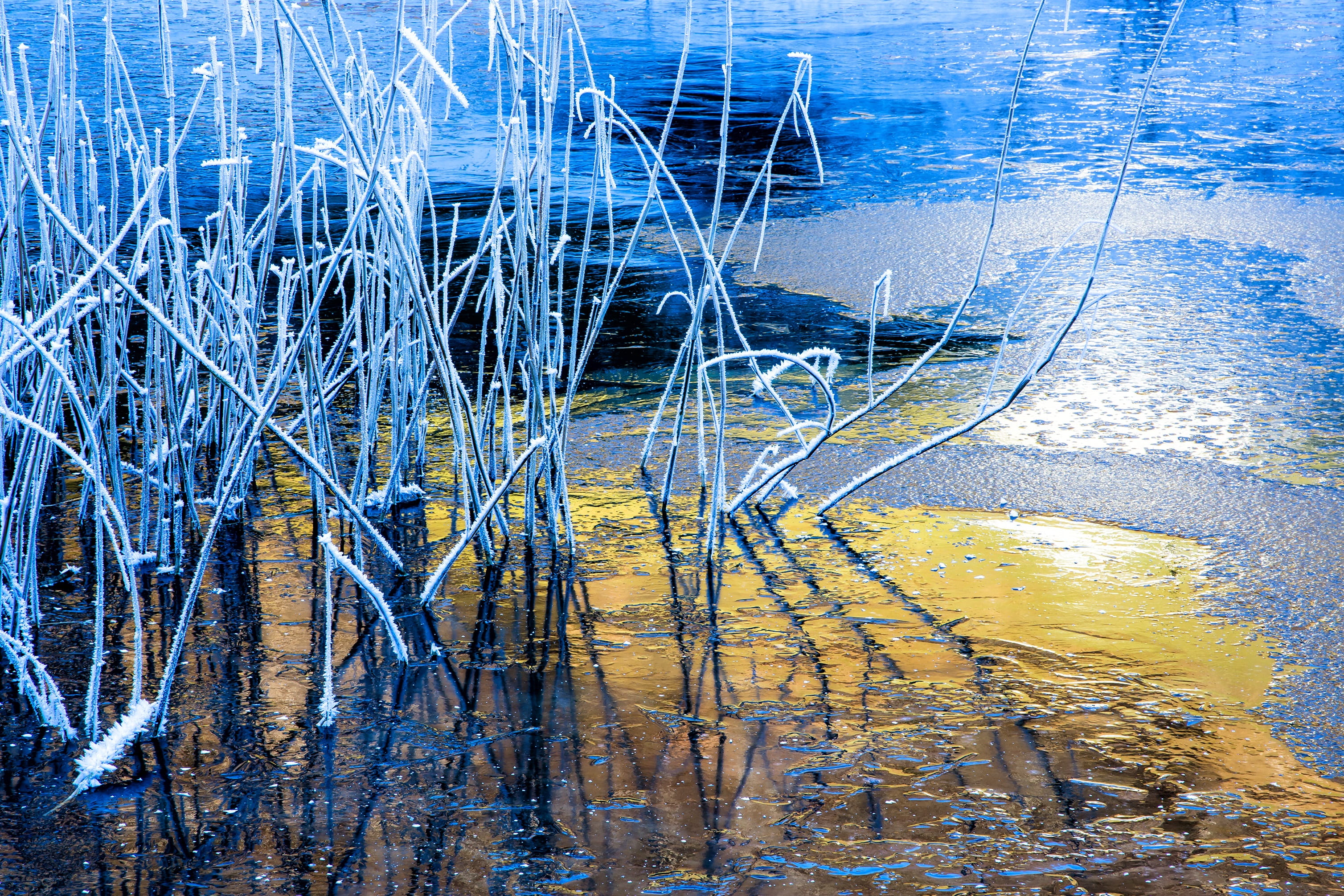 Frozen, Cold, 2K, backgrounds, tranquil scene, lake, reflection, Winter, wintry, pond, scenics - nature, beauty in nature, day, end of the year, cold, HD Wallpaper