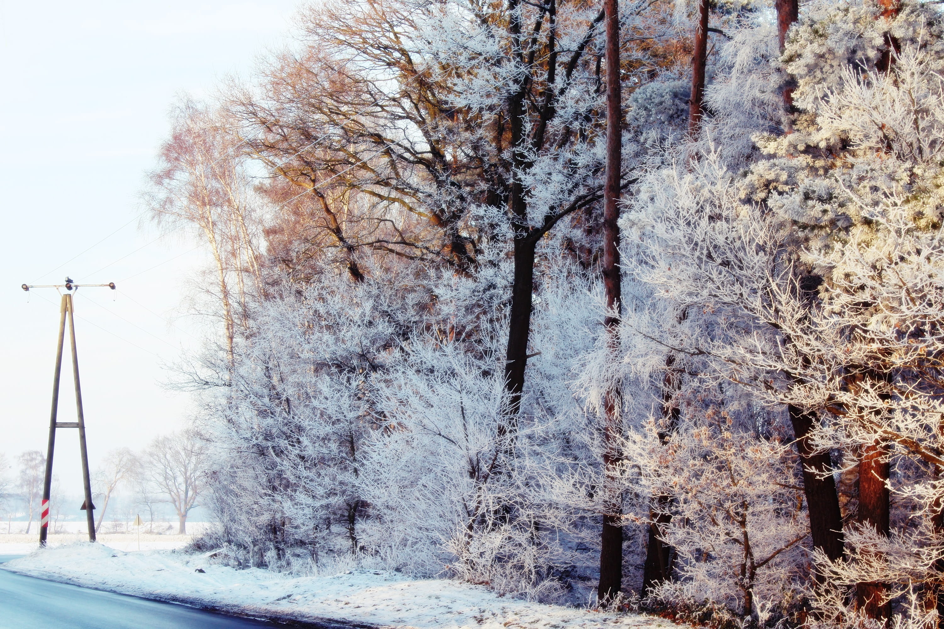 strommast, winter mood, snow, beauty in nature, land, winters day, snow landscape, cold temperature, landscape, scenics - nature, tree, wintry, lonely, HD Wallpaper