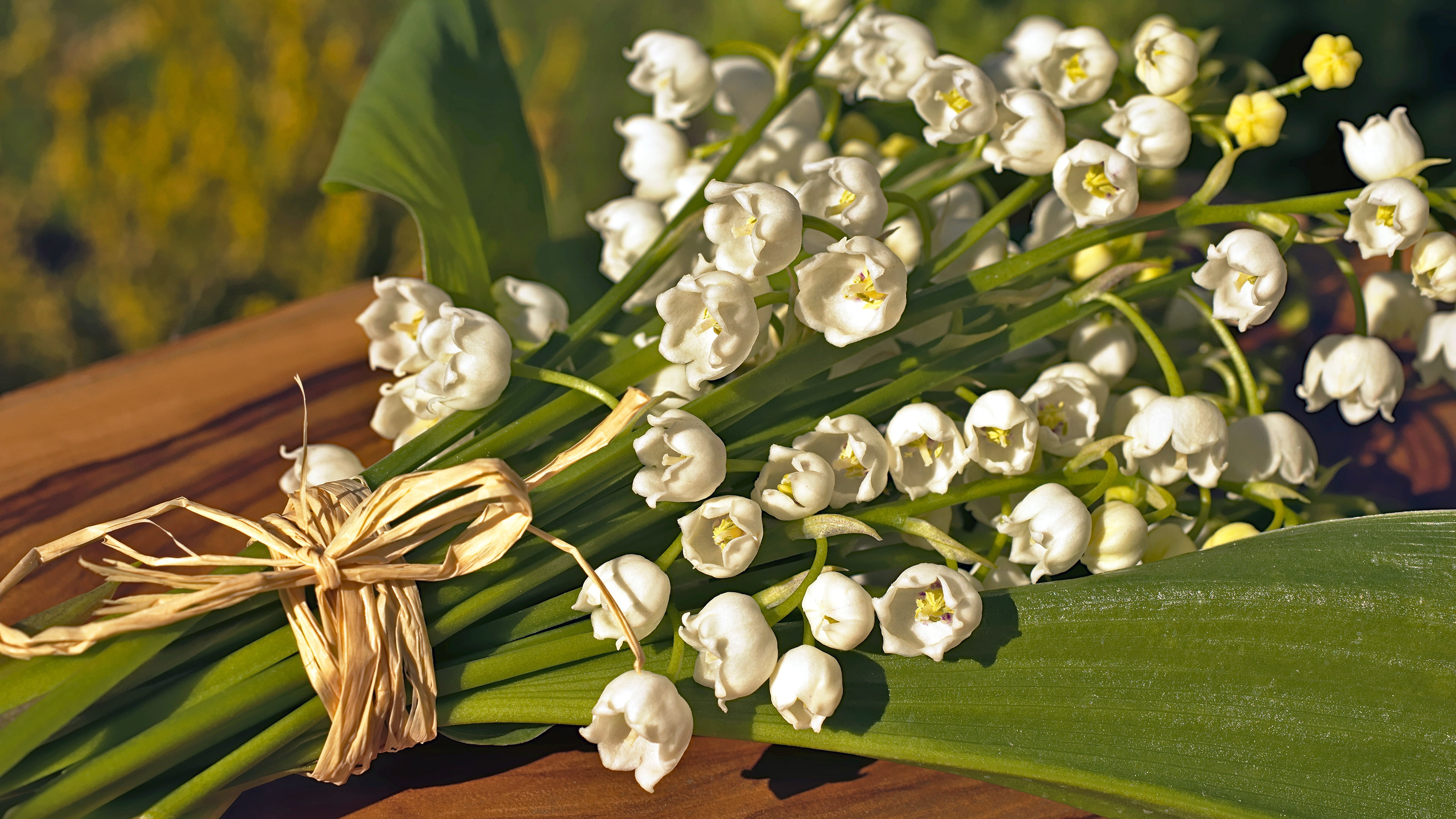 background, may, spring, white, bow, lilies of the valley, stems, bokeh, bouquet, 4K, leaves, lies, flowers, may Lily, light, a bunch, rope, HD Wallpaper