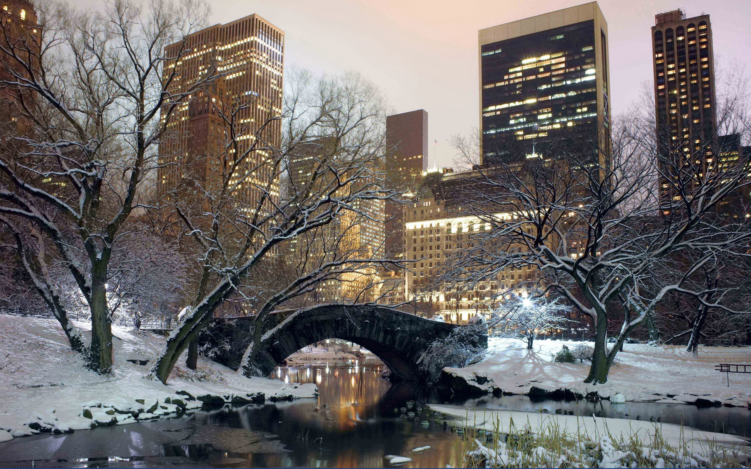frozen, city Life, city, bow Bridge, street, gray, season, illuminated, snow, architecture, night, gapstow Bridge, sky, winter, cold temperature, famous Place, HD Wallpaper