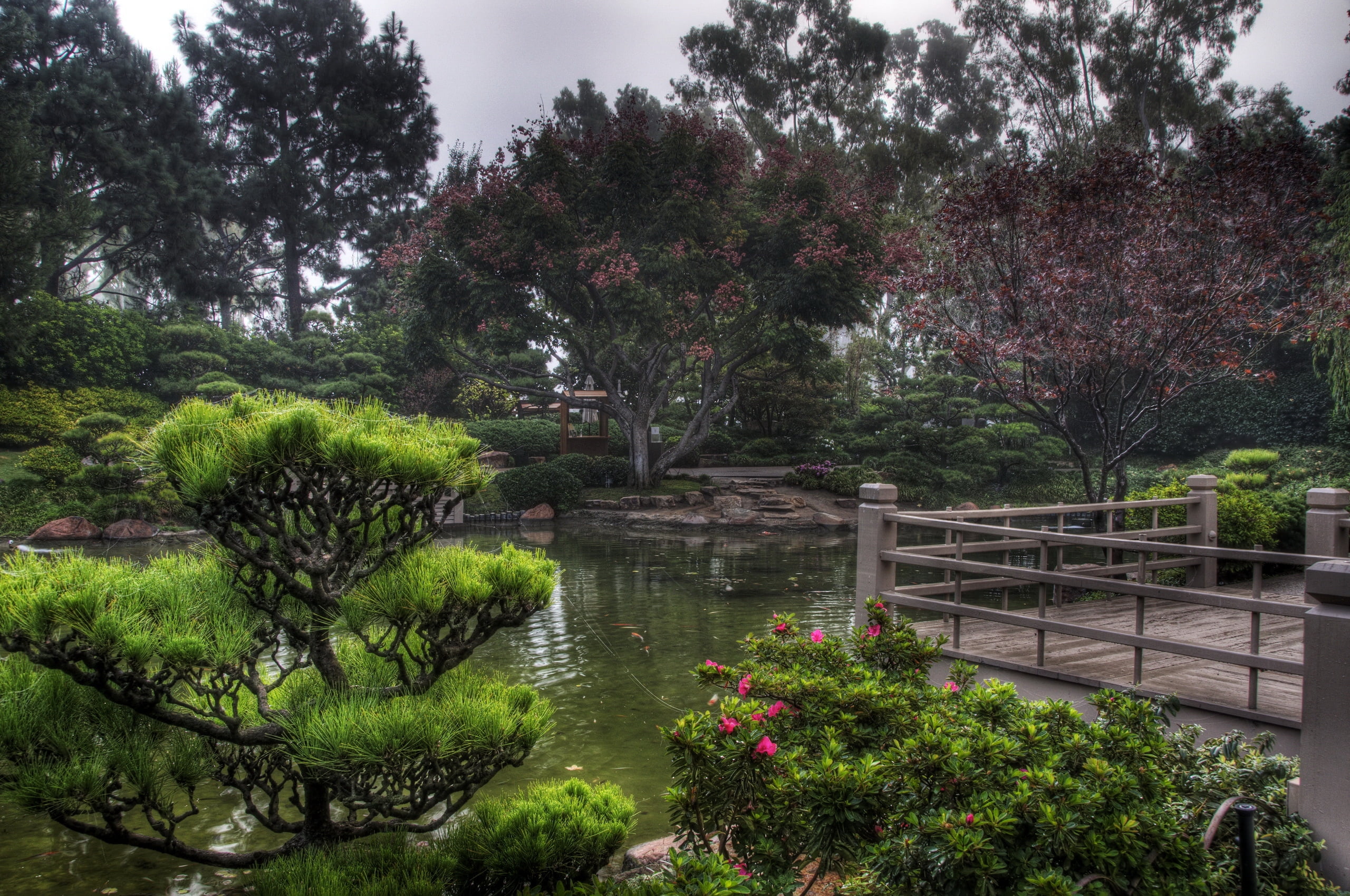 growth, central Park, pond, vegetation, lake, reflection, scenics, garden, flowering plant, landscape, plant, formal Garden, outdoors, park, green Color, HD Wallpaper