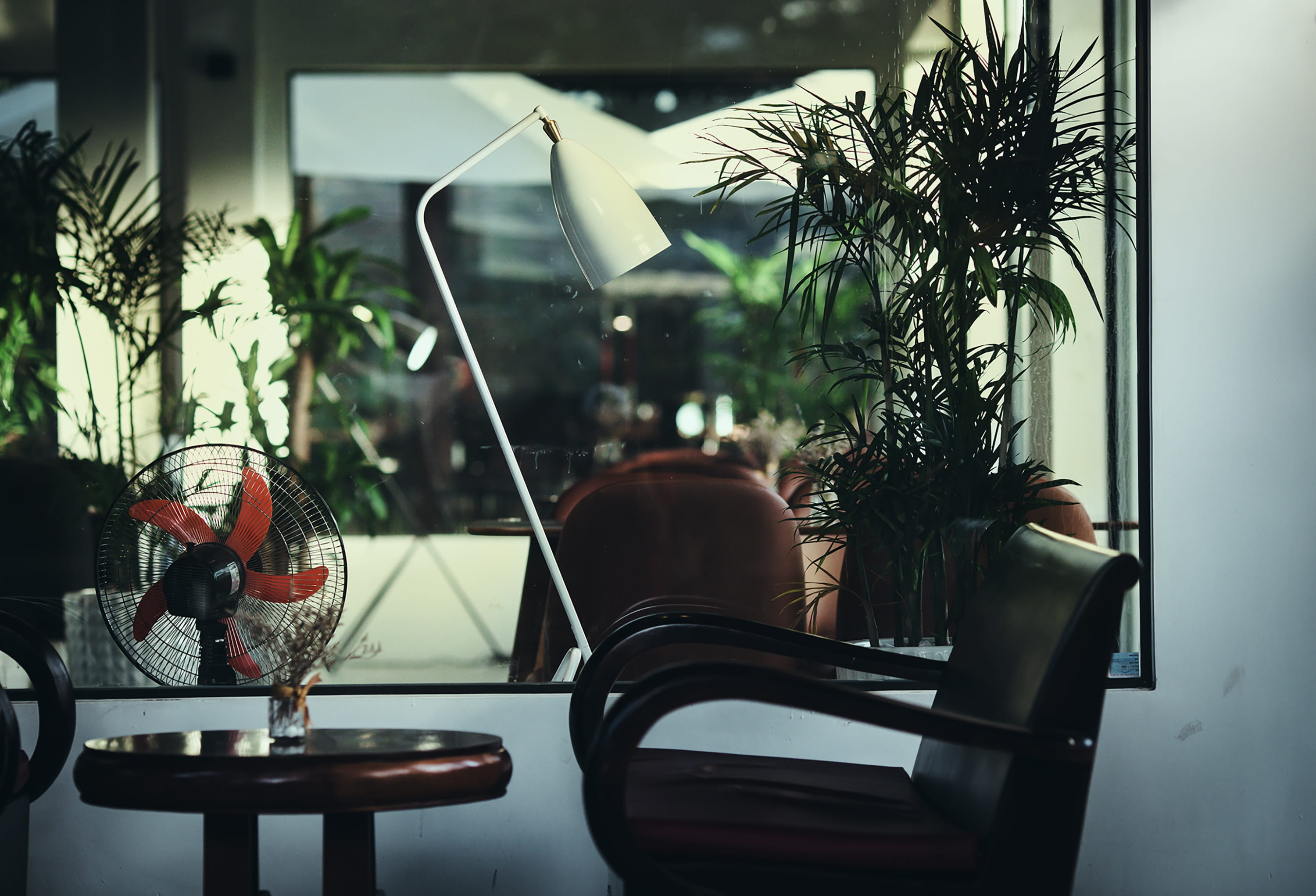seat, potted plant, indoors, glass - material, real people, home interior, day, domestic room, plant, furniture, come, houseplant, one person, nature, transparent, HD Wallpaper