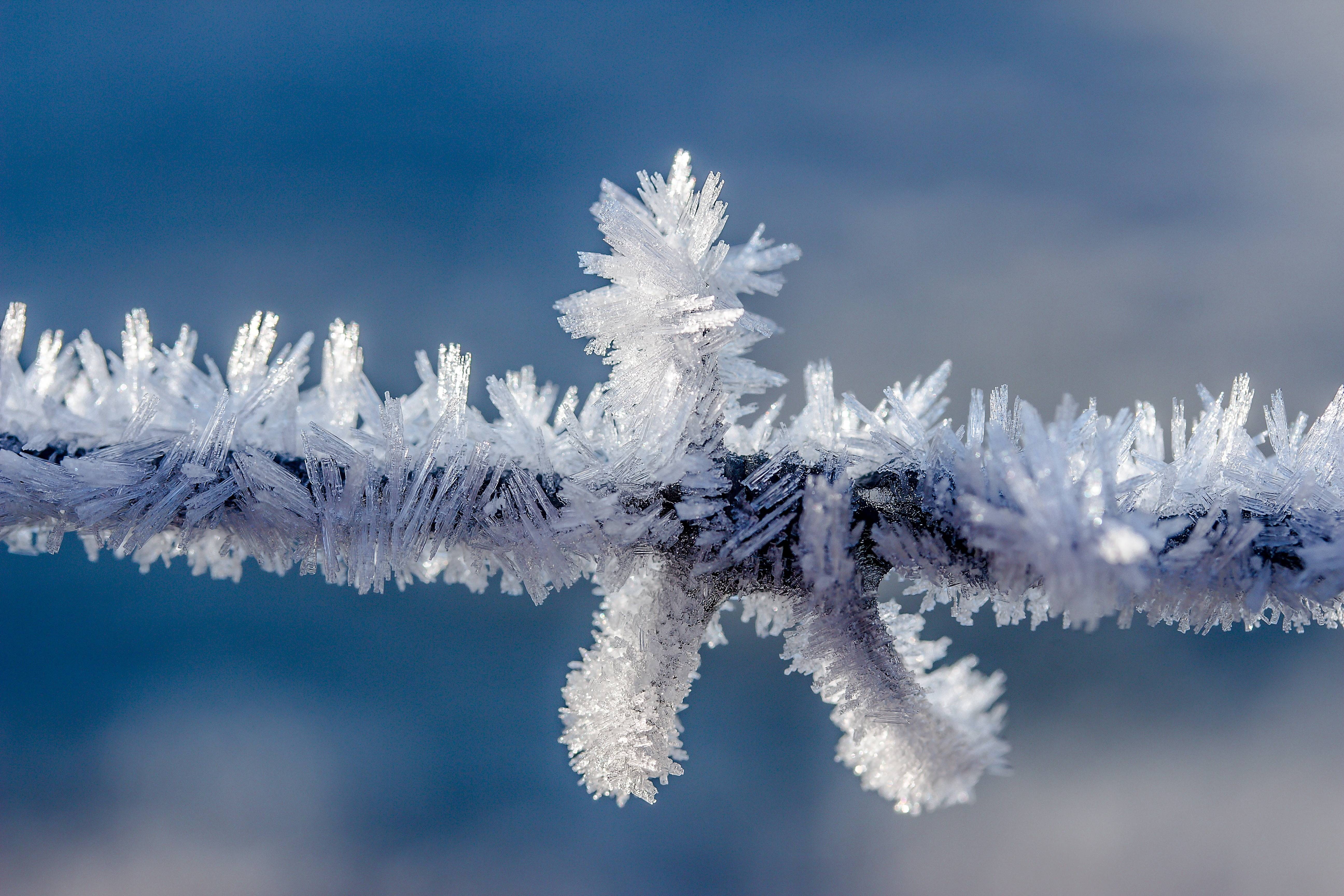 5K, eiskristalle, cold, crystals, frozen, frost, ice, HD Wallpaper