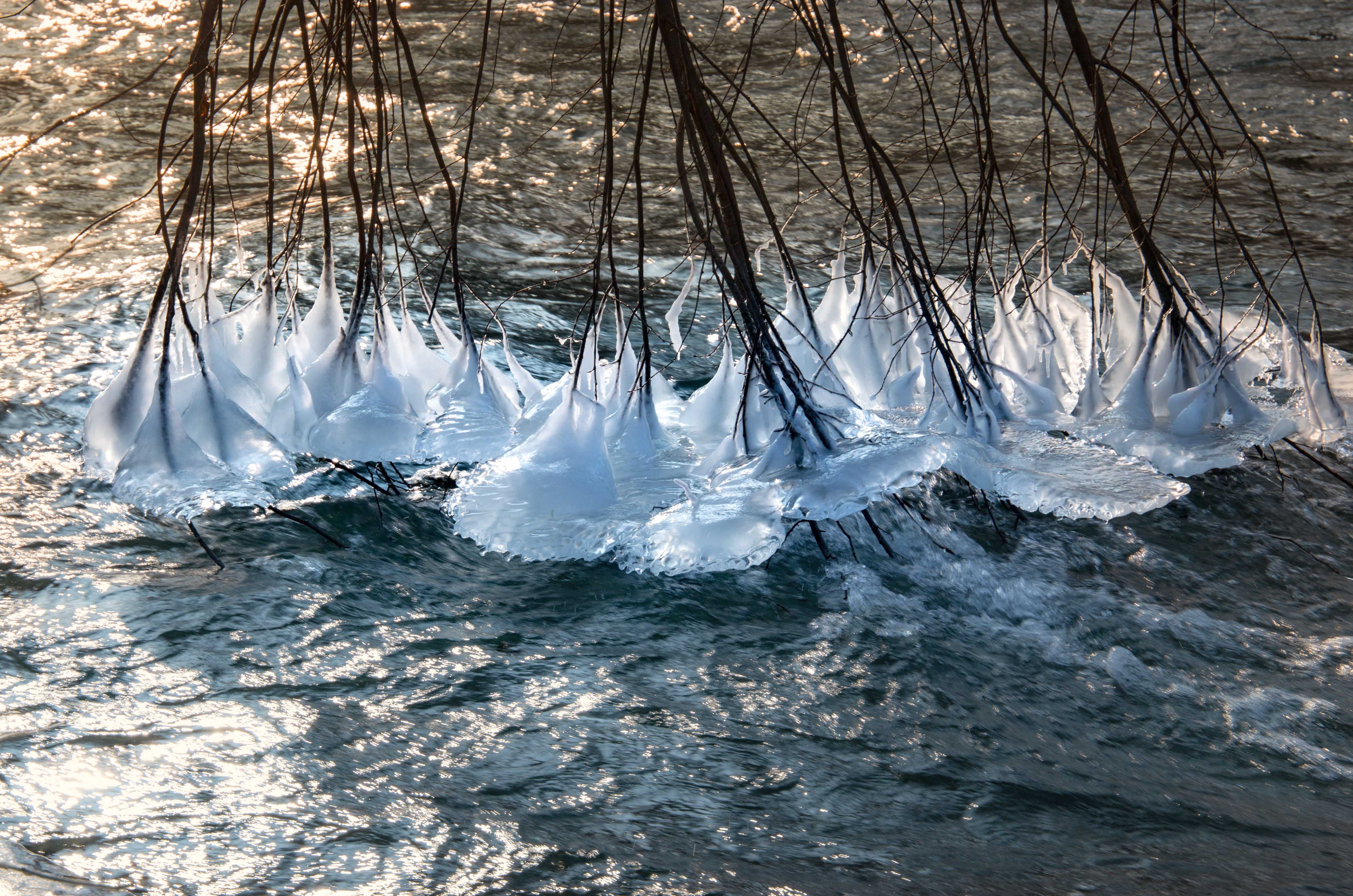 water, snow, icicle, wintry, waterfront, hoarfrost, plant, cold temperature, nature, bare tree, day, purity, winter, cold, ice, eisbach, winter magic, munich, HD Wallpaper