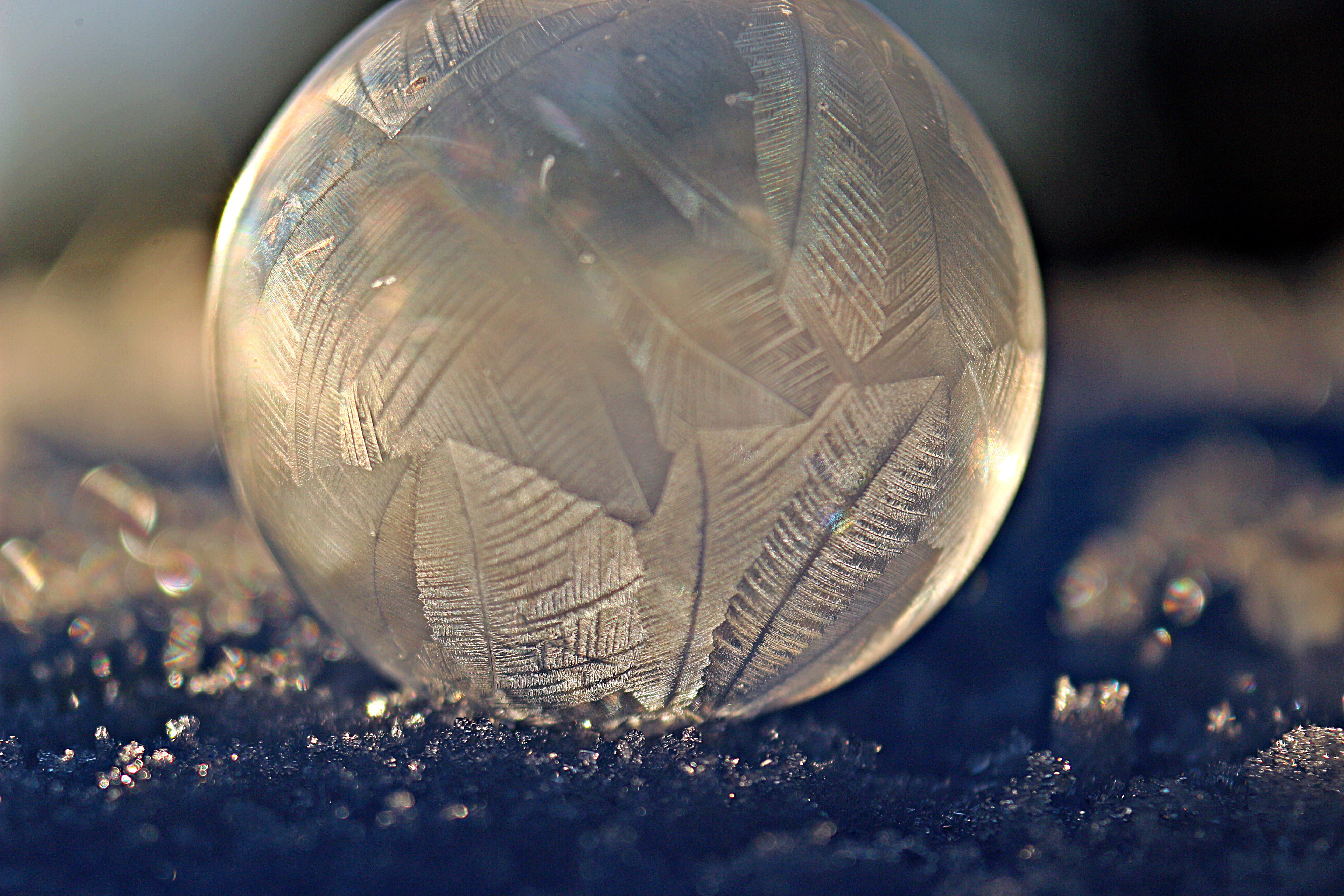 celebration, glass - material, frozen, eiskristalle, sport, christmas, indoors, frost globe, frost blister, nature, shiny, winter, plant, snow, vulnerability, HD Wallpaper