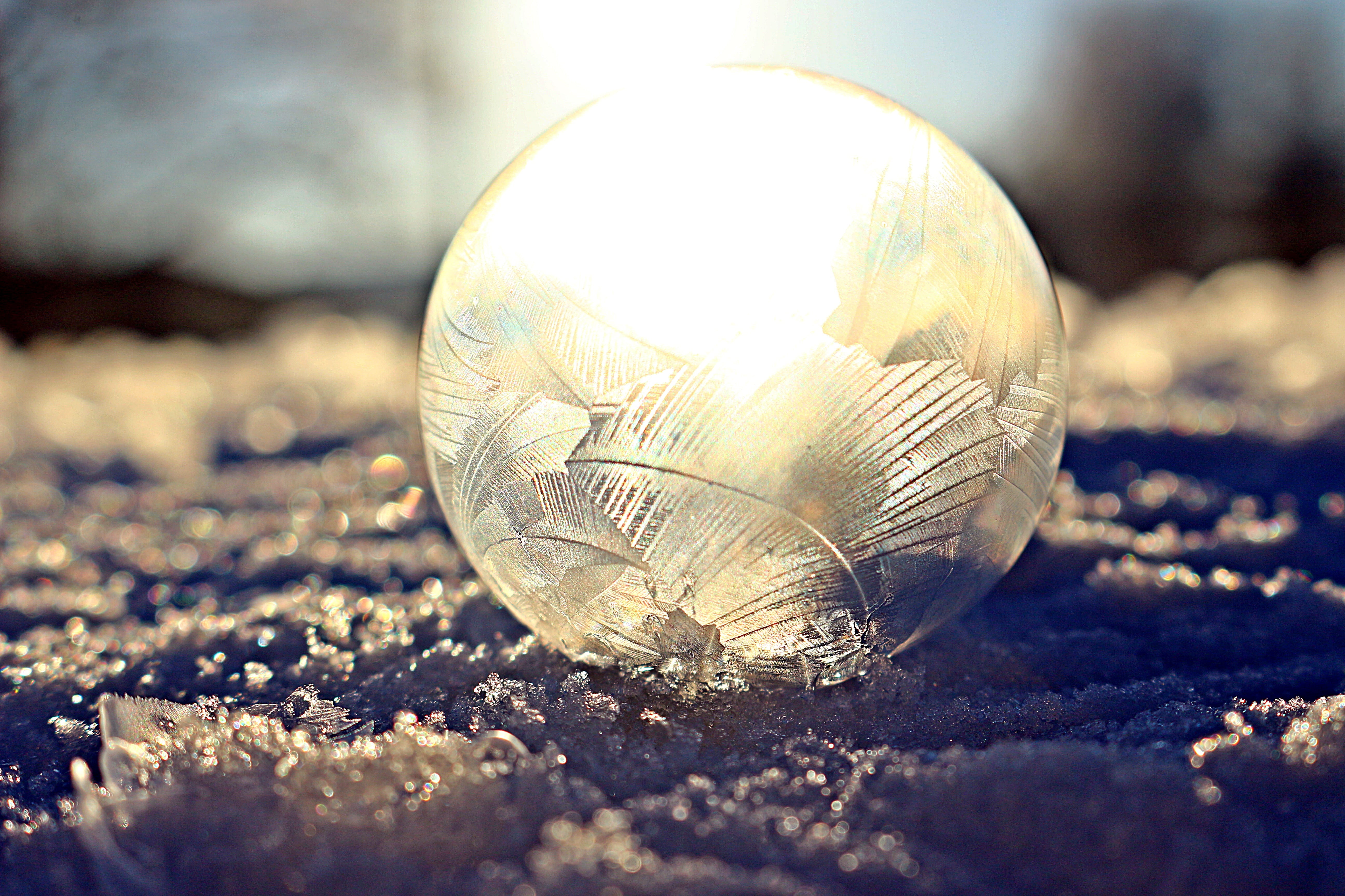 single object, coin, currency, outdoors, winter, ze, close-up, cold, crystal ball, frozen, day, macro, frosted soap bubble, sunlight, ball, savings, 5K, HD Wallpaper