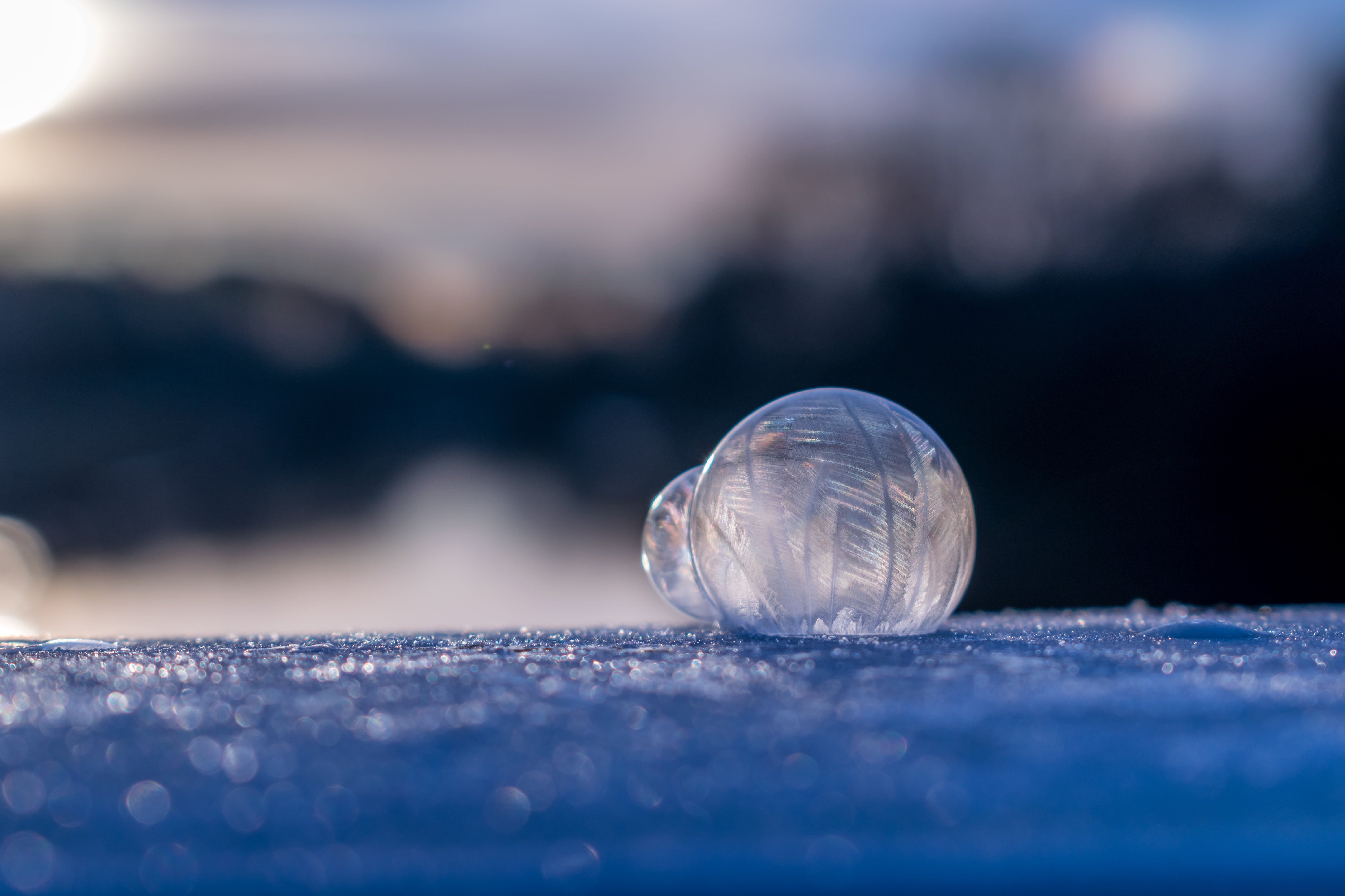 one animal, magic, surface level, animal themes, close-up, nature, eiskristalle, animal wildlife, landscape, hardest, animal, floating on water, icy, frozen bubble, HD Wallpaper