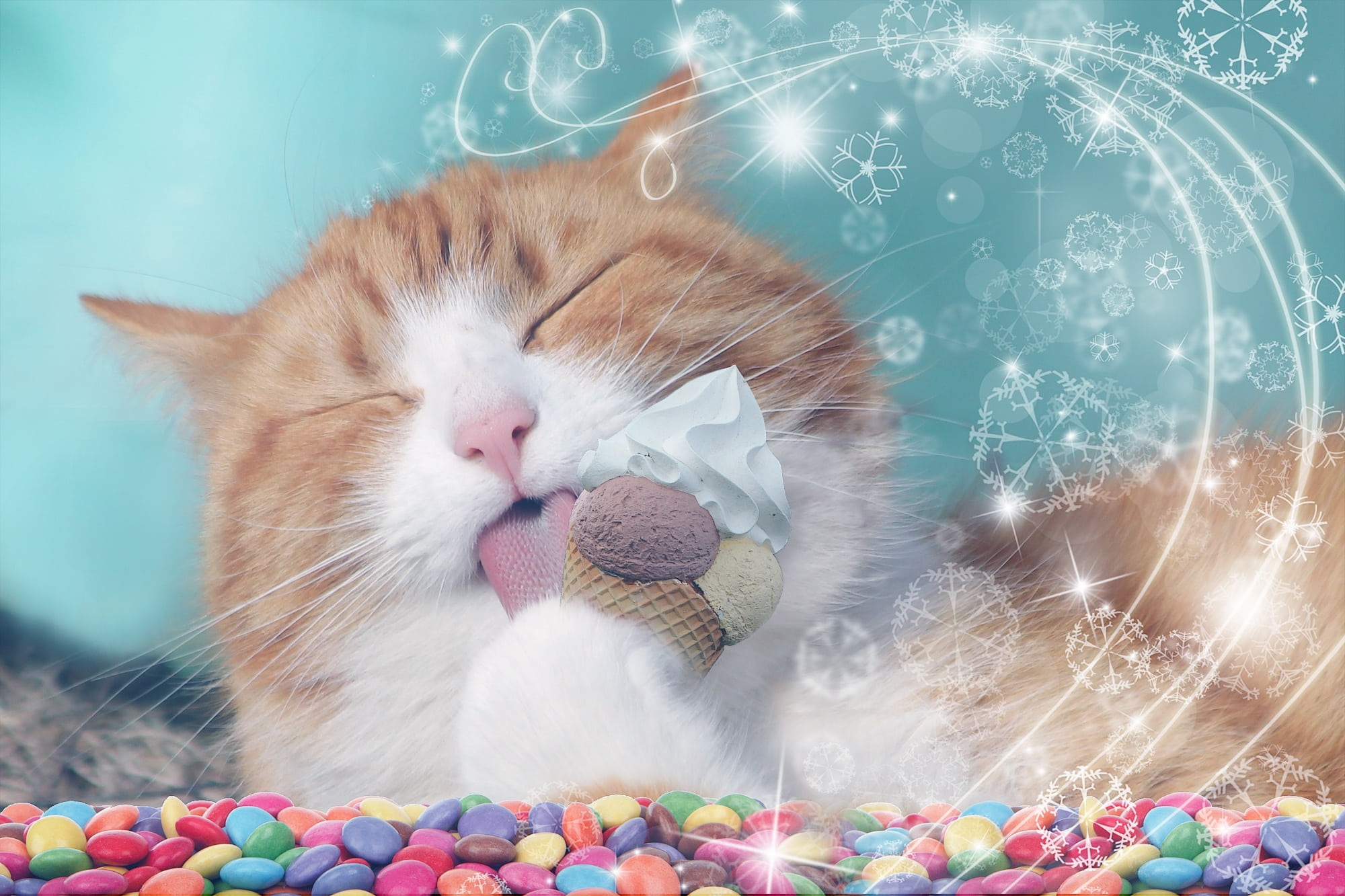 fun, soft ice cream, licking, relaxation, no people, whisker, softness, cute, indoors, feline, cat, ice-cream, domestic Cat, 1080P, pets, desserts, cream bag, HD Wallpaper