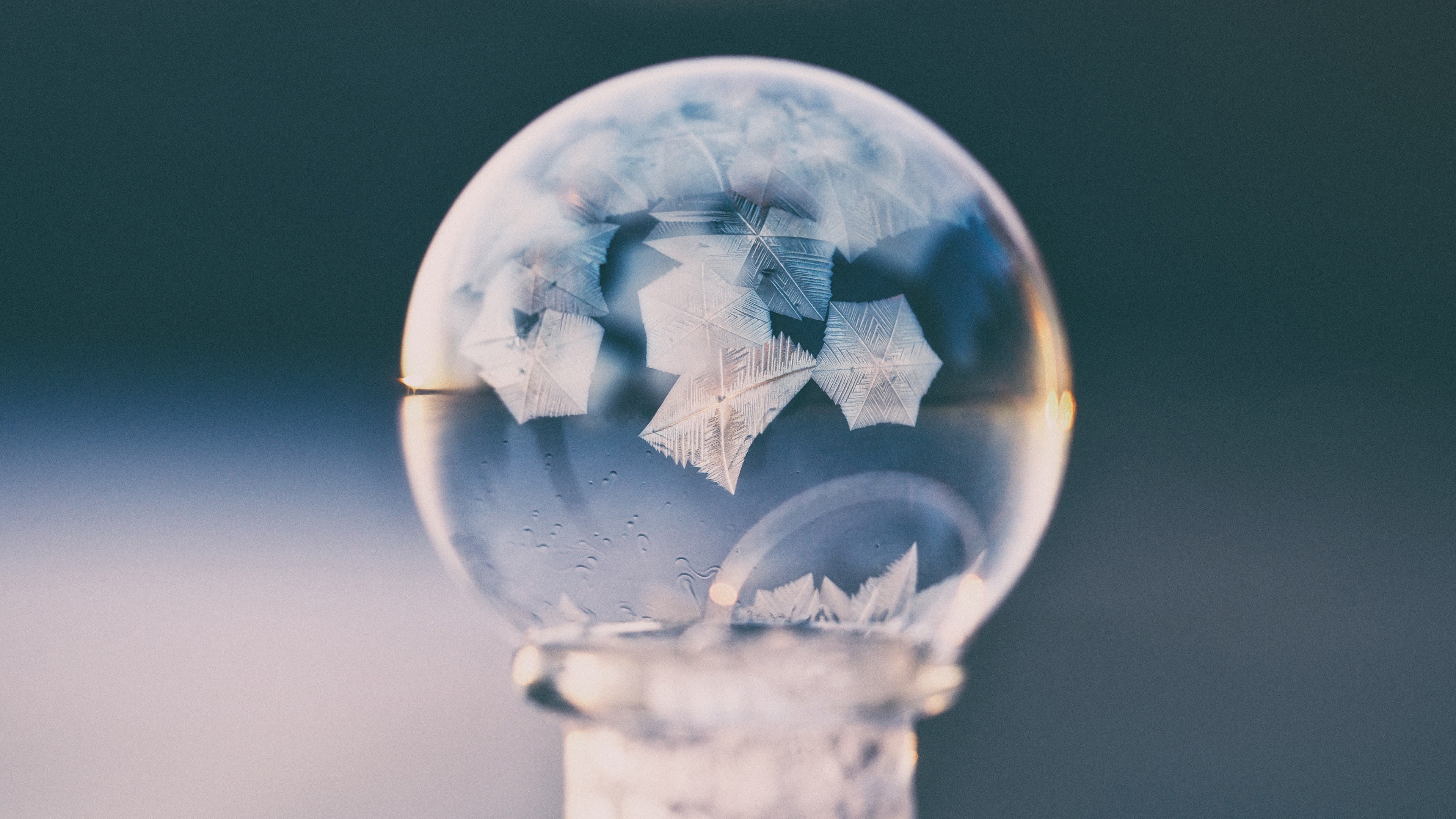 photography, frozen bubble, 4K, HD Wallpaper