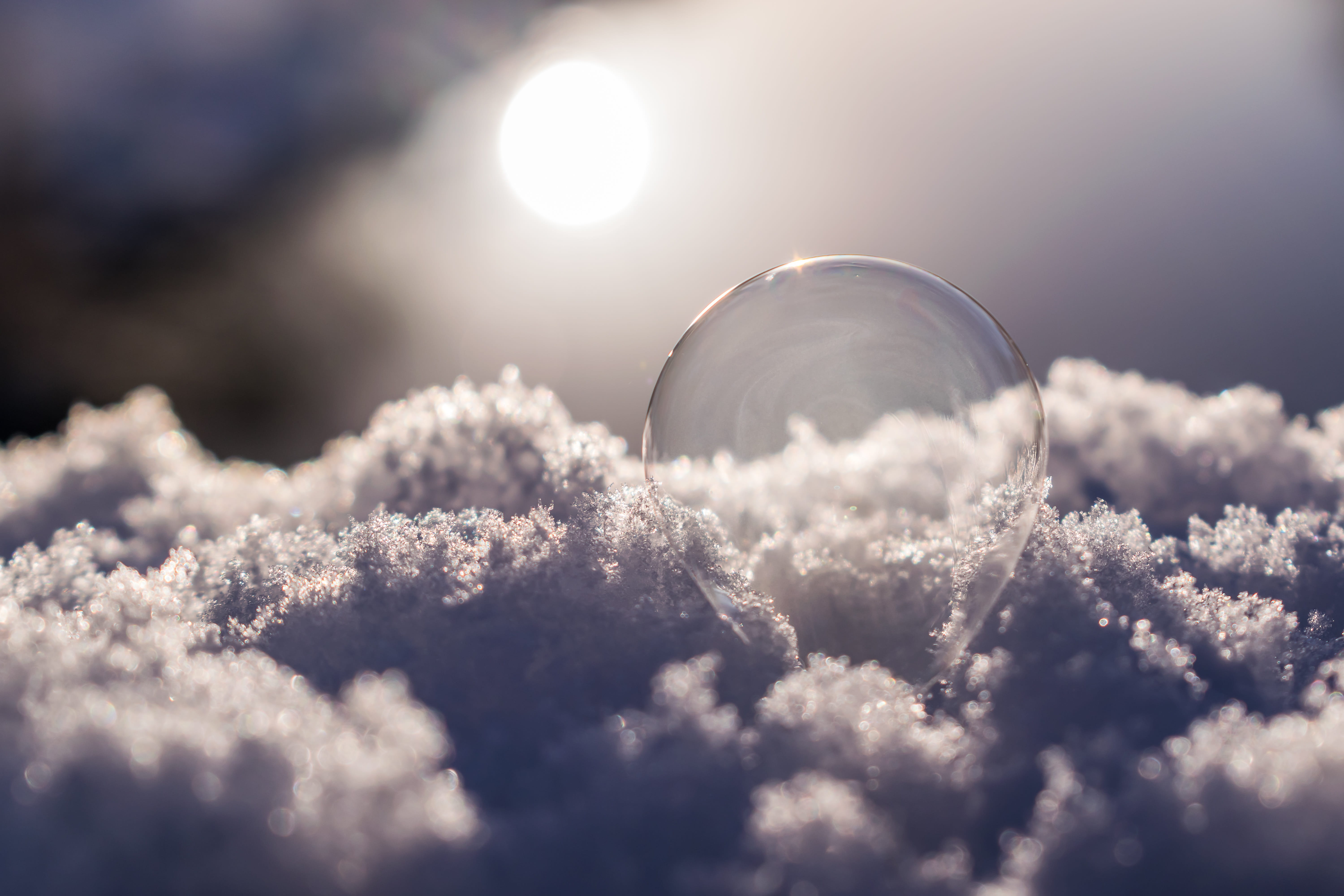 sunlight, hoarfrost, eyesight, ball, selective focus, frost, close-up, Snow, Ice, beauty in nature, 5K, frost blister, sun, frozen bubble, sky, macro, HD Wallpaper