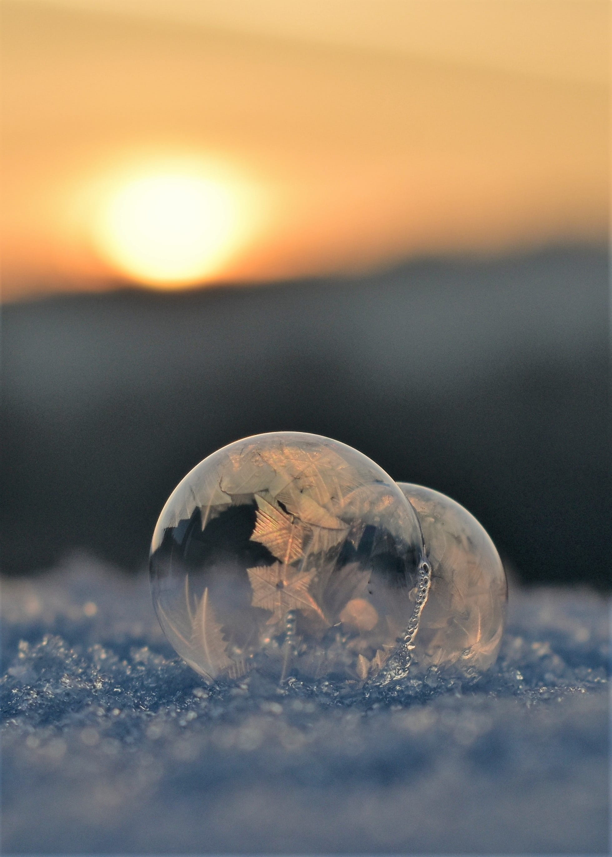 planet - Space, ze, transparent, jellyfish, nature, frozen, sunrise, sunset, winter magic, one animal, beauty in nature, eiskristalle, ball, back light, Phone HD Wallpaper