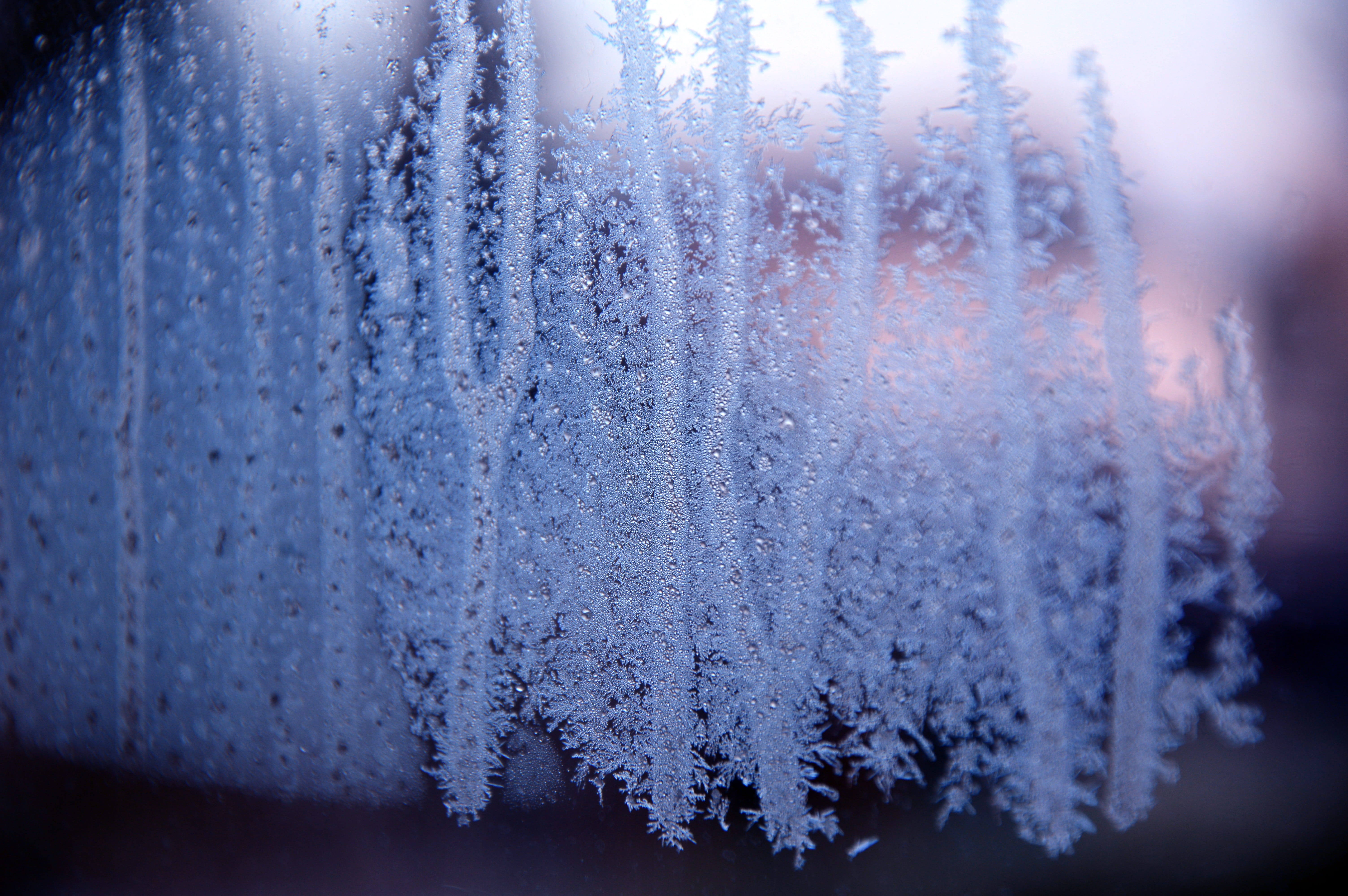 nature, eiskristalle, water, frozen, winter, snow, window, wet, crystallize, outdoors, cold temperature, selective focus, day, beauty in nature, no people, HD Wallpaper