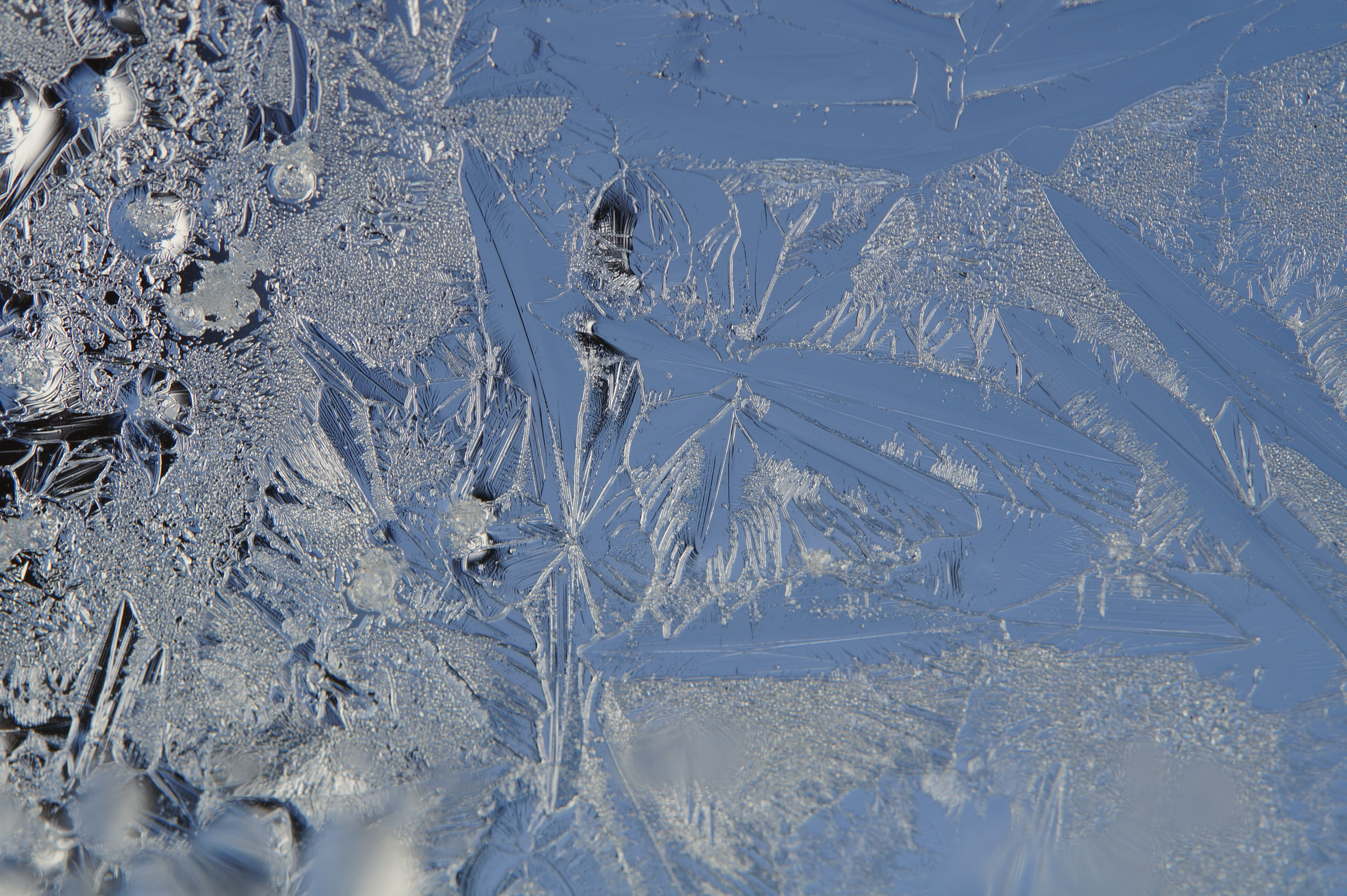 white color, iced, cold, snow, 5K, close-up, nature, cold temperature, ice crystal, pattern, Window, winter magic, snowflake, frozen, beauty in nature, HD Wallpaper